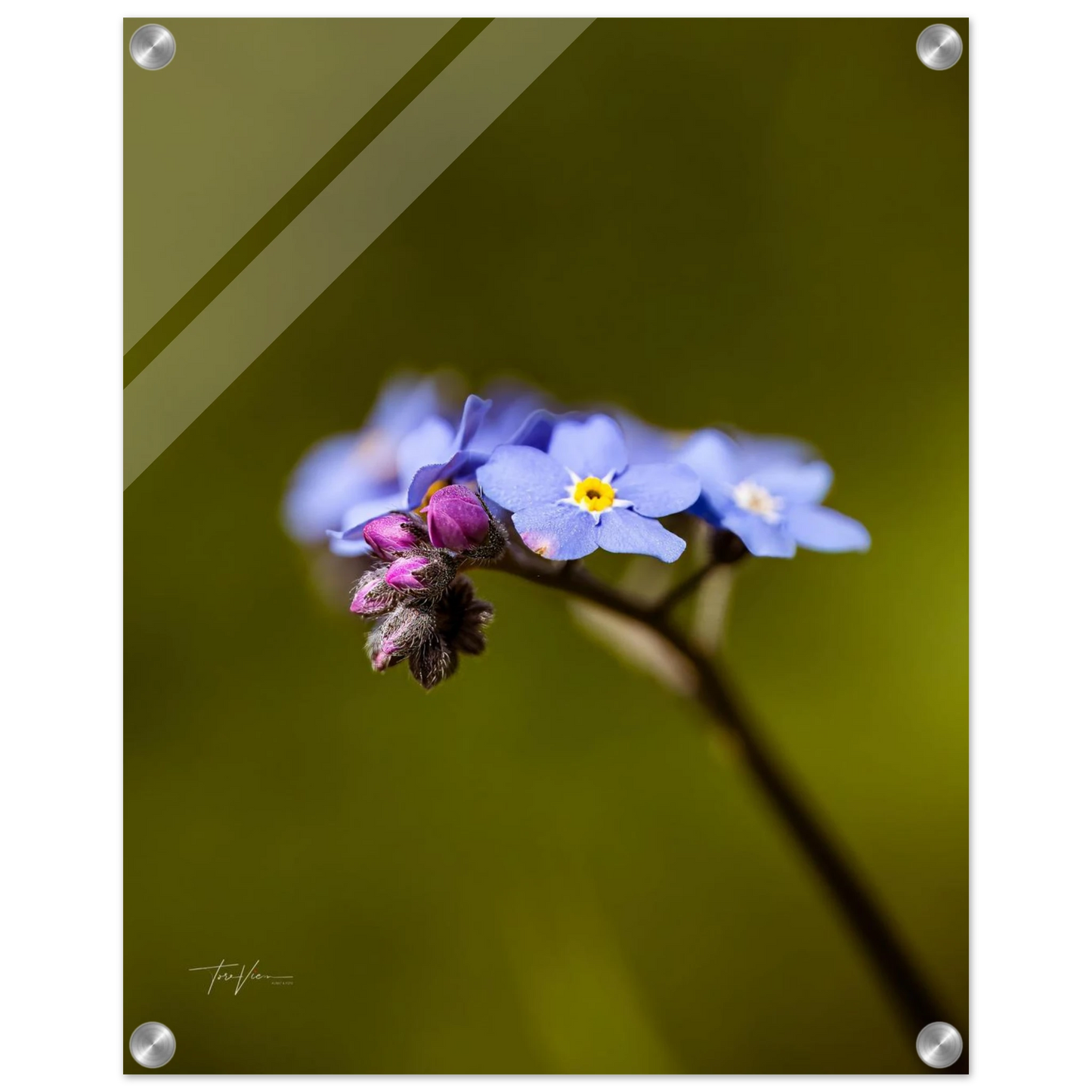 9eeda89c-aaf2-4f1e-a892-eec6d16d20a6