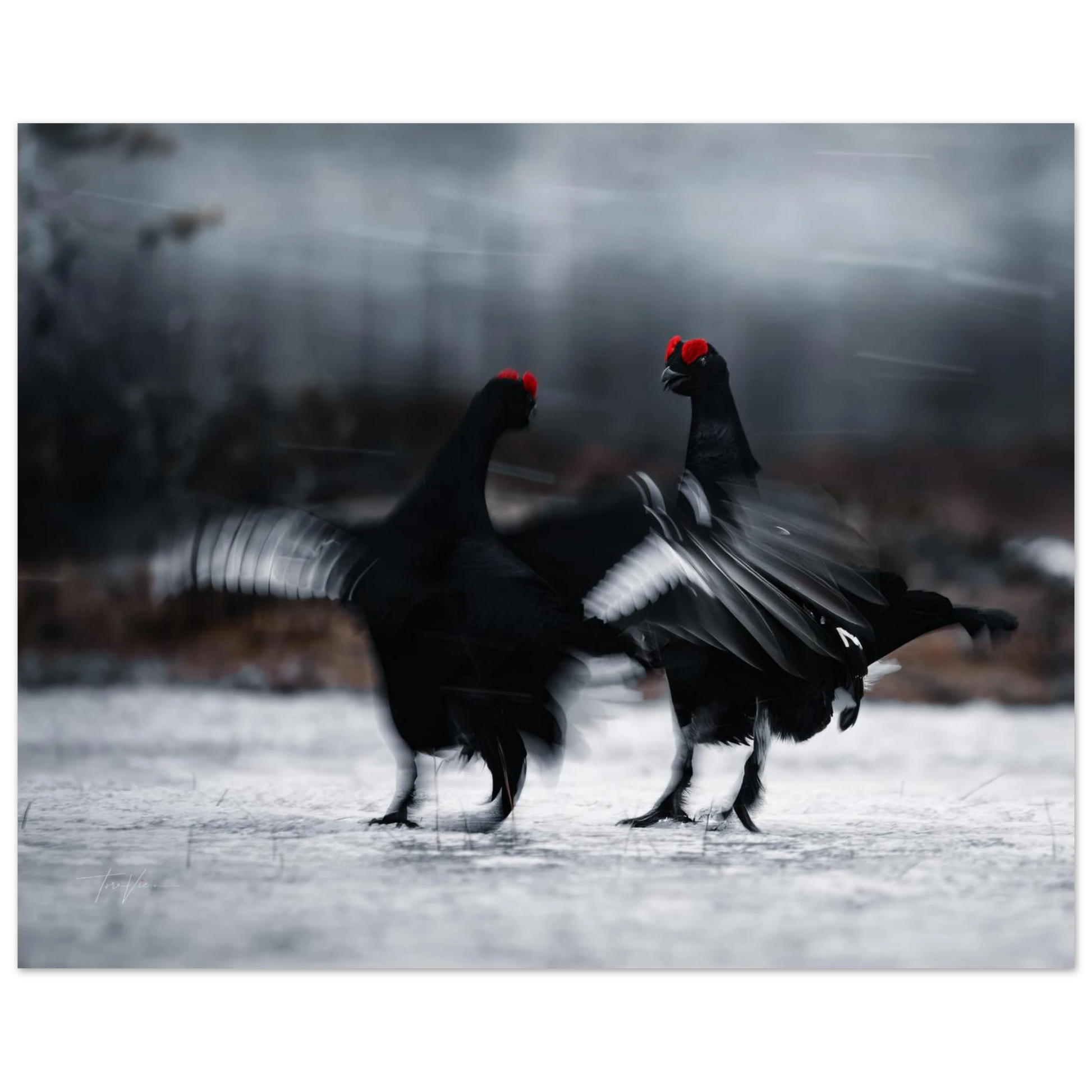 9f0d139c-5b07-47e1-9fb2-ba253e96b492