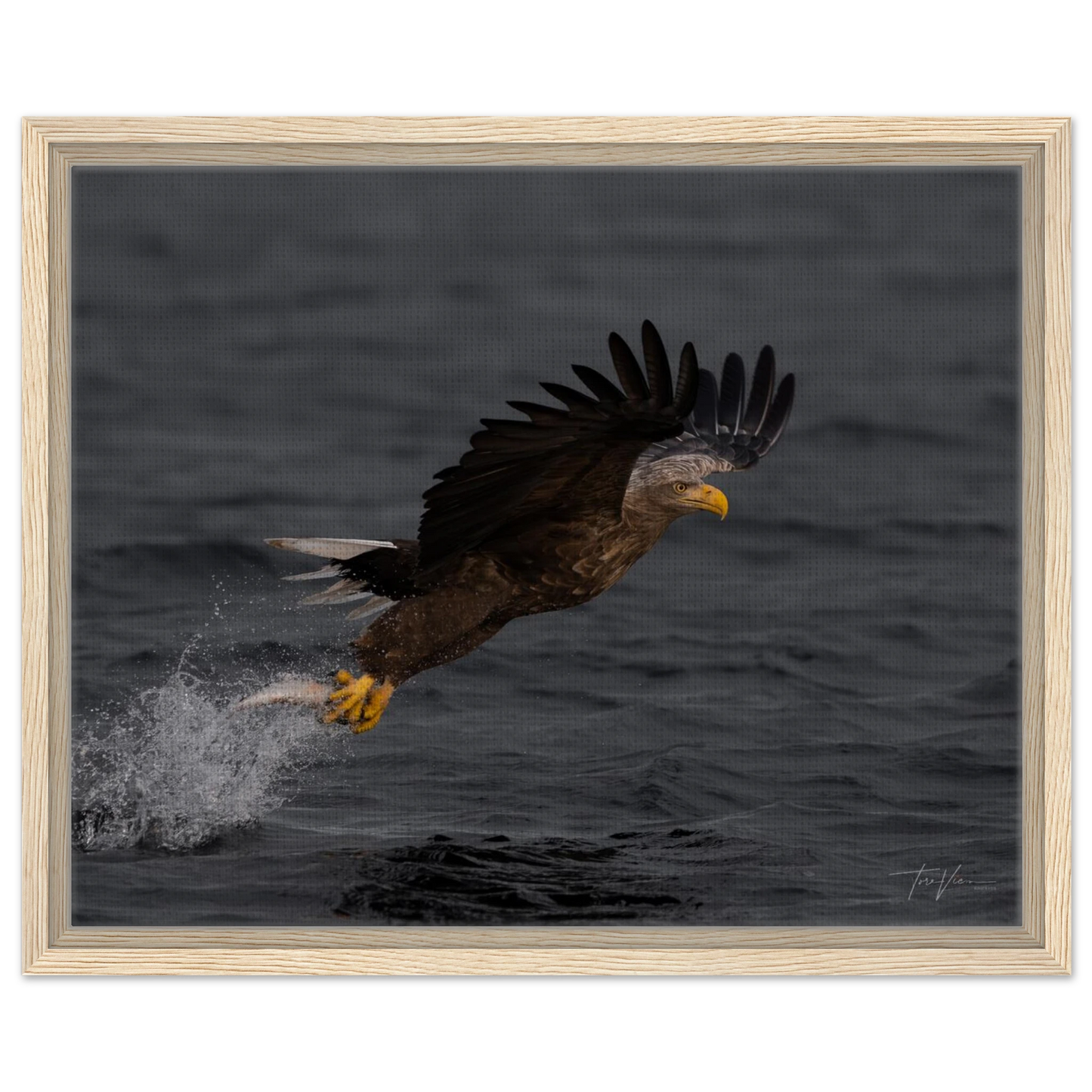 9f4dd516-93df-4d5e-8804-68016b65a4c2