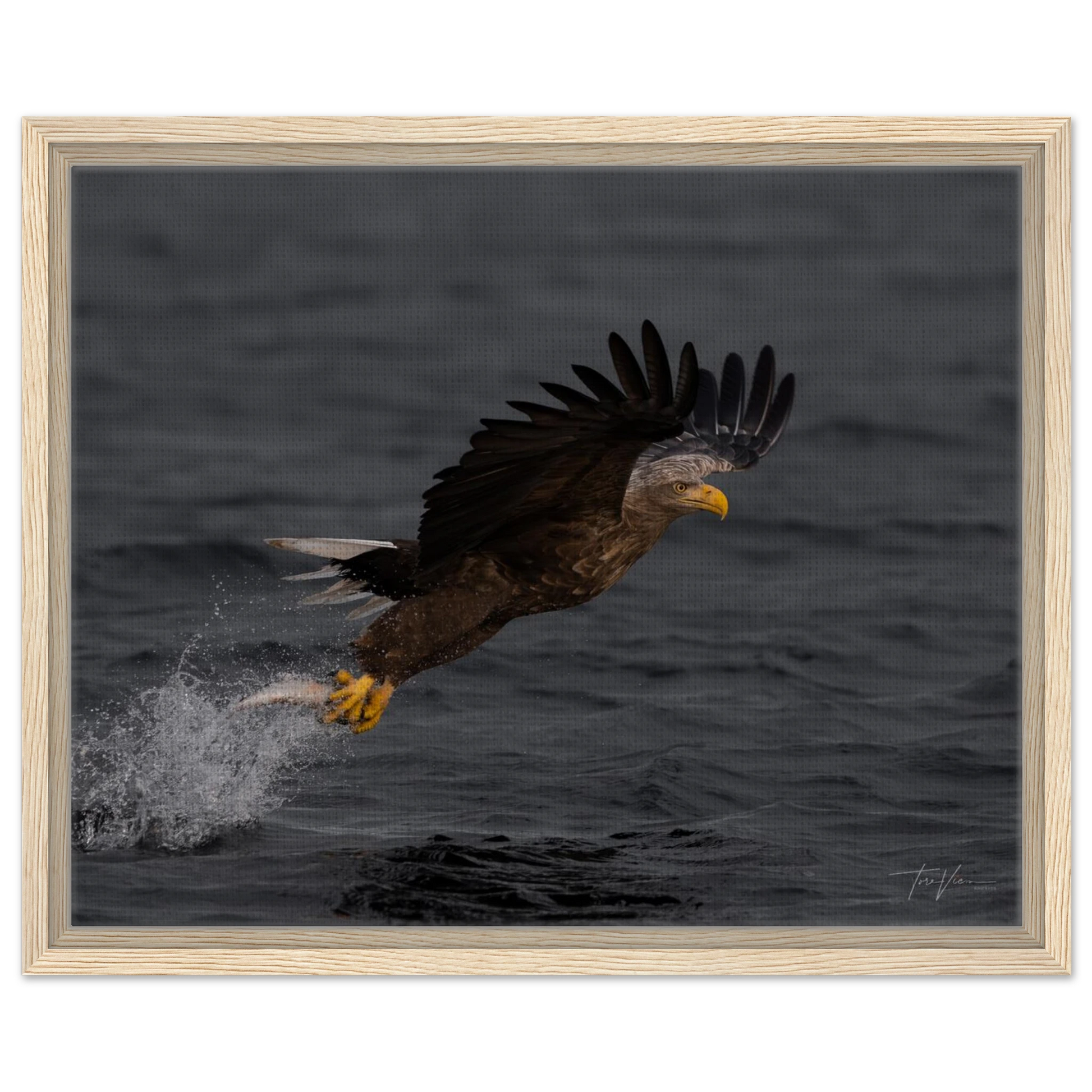 9f4dd516-93df-4d5e-8804-68016b65a4c2