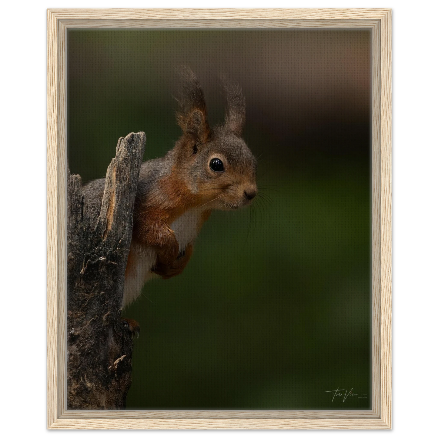 9f57cd57-5732-4cb1-b2c3-69bb397d00a5