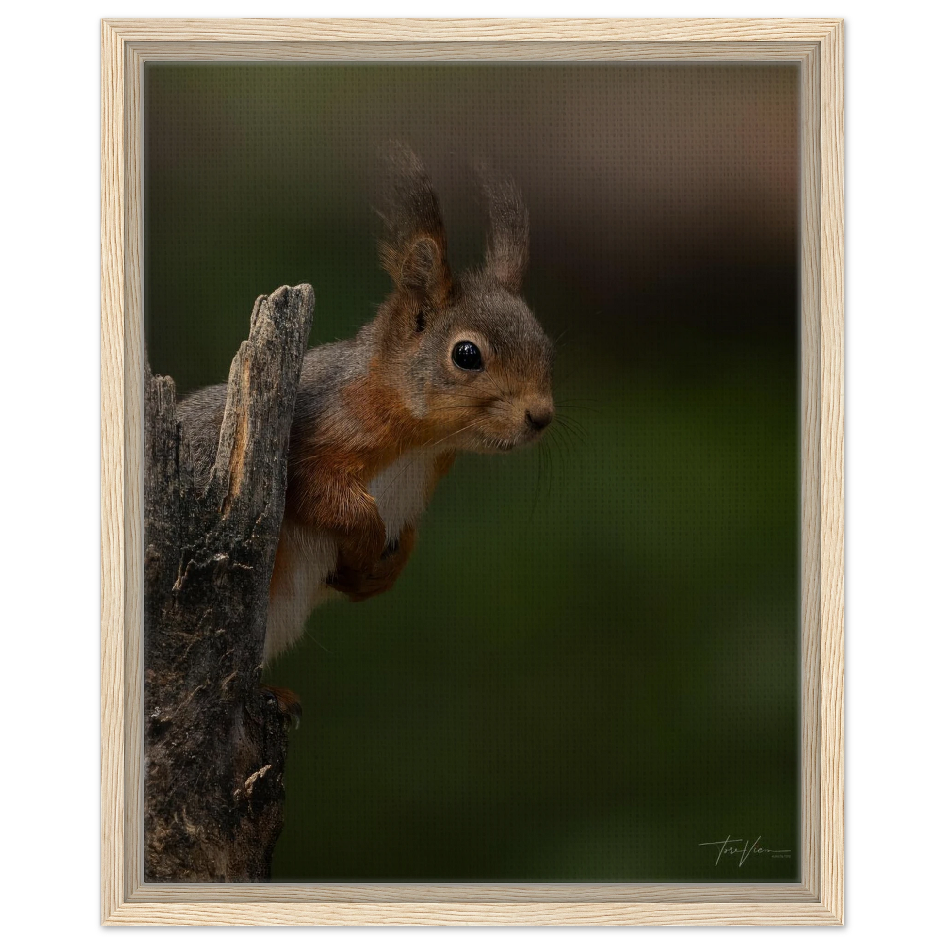 9f57cd57-5732-4cb1-b2c3-69bb397d00a5