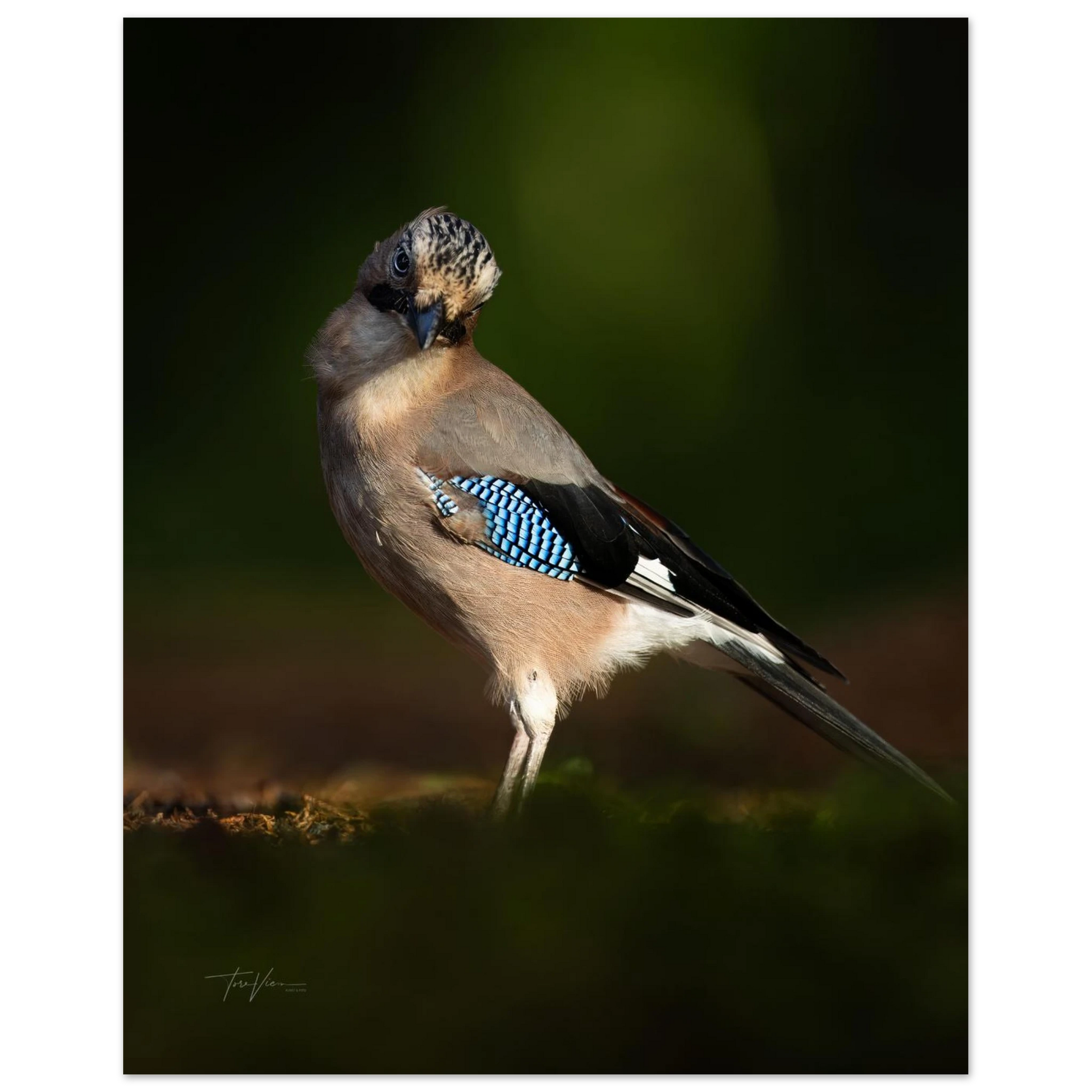 a00e67c0-1a8a-4a24-b4d6-04dfbf52630b