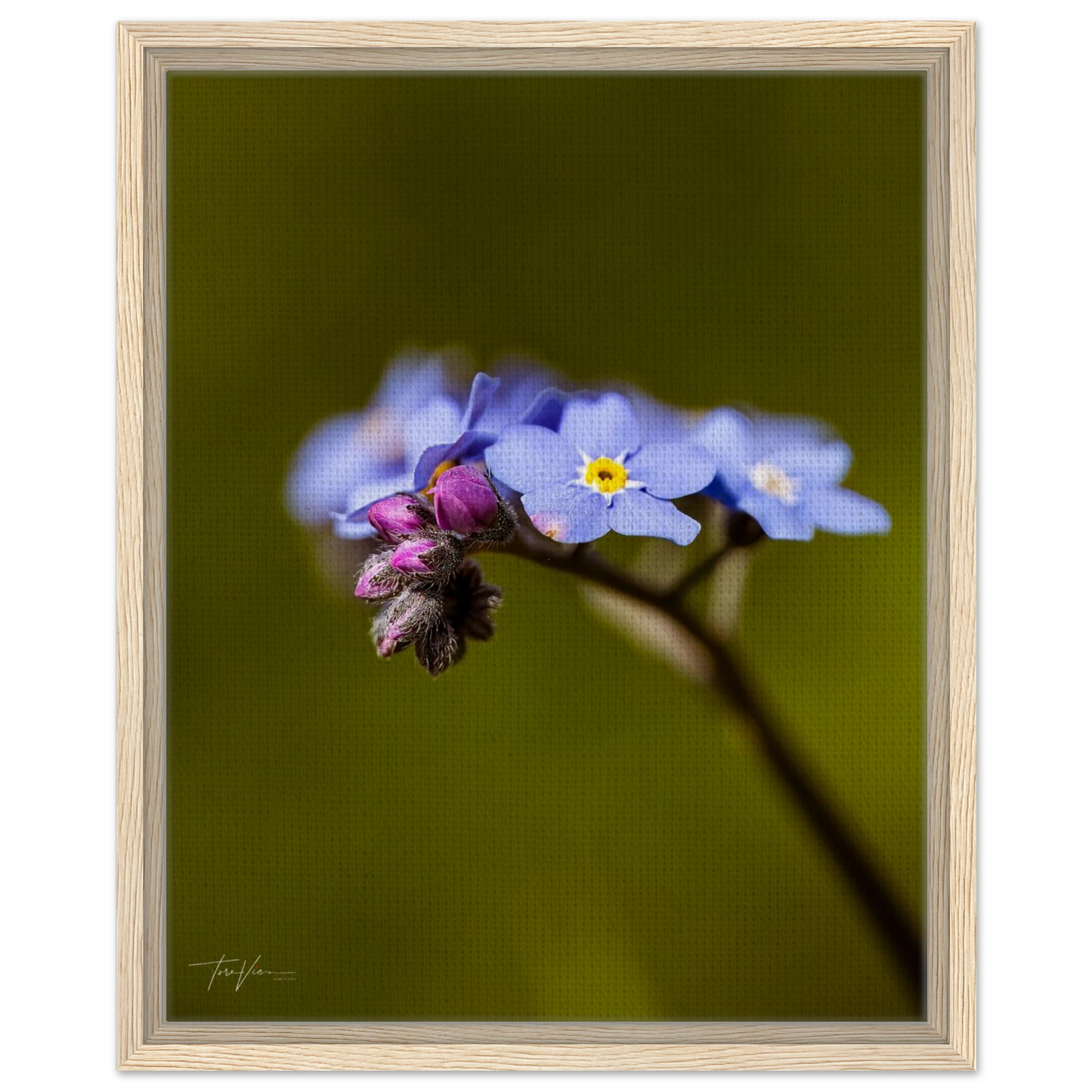 a1aeb198-405d-48bf-9812-7065a6cb4967