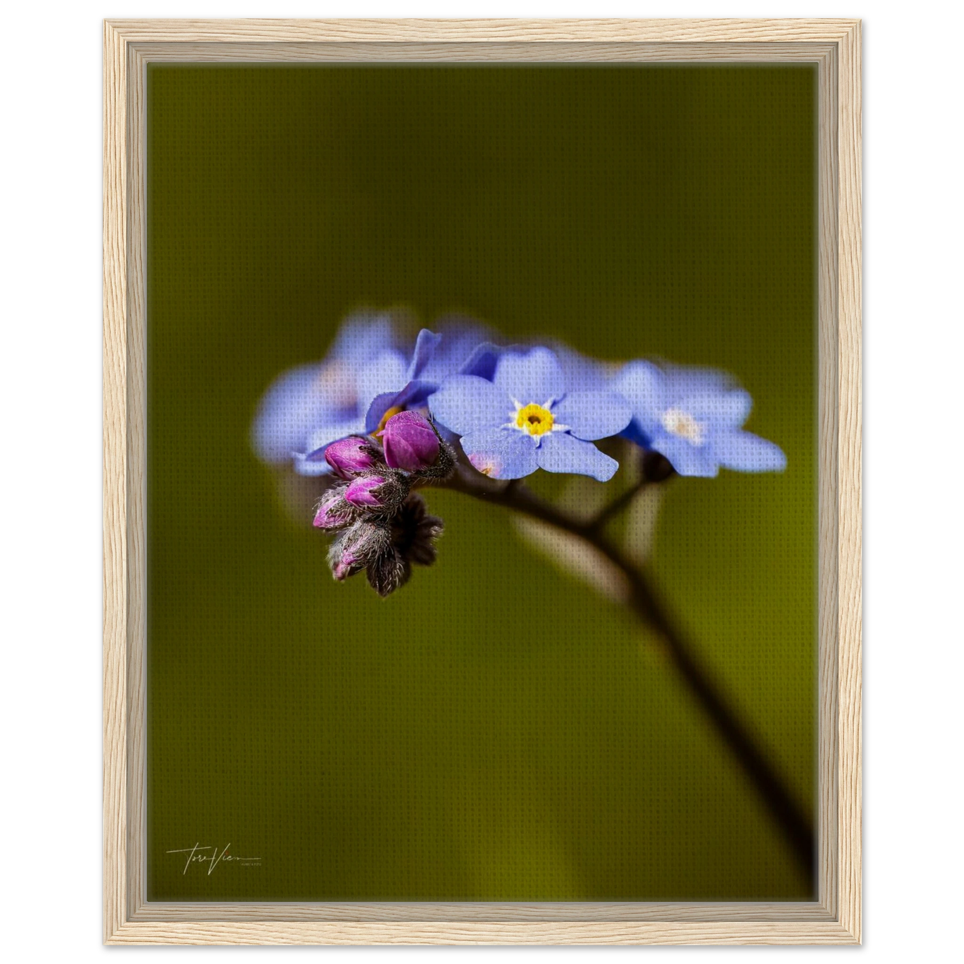 a1aeb198-405d-48bf-9812-7065a6cb4967