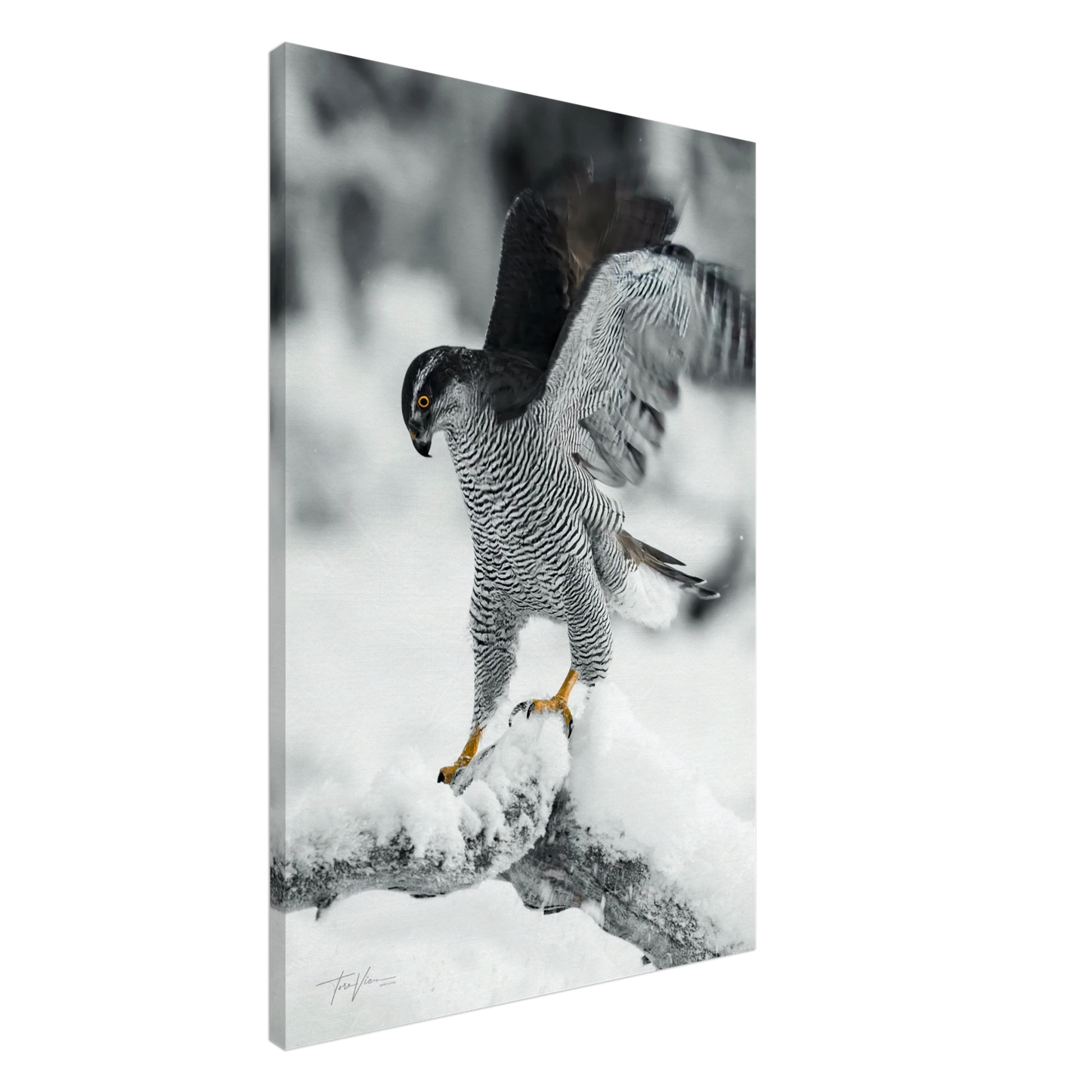 a2745d4e-8ed7-48e6-b775-96e0c15b0ca7