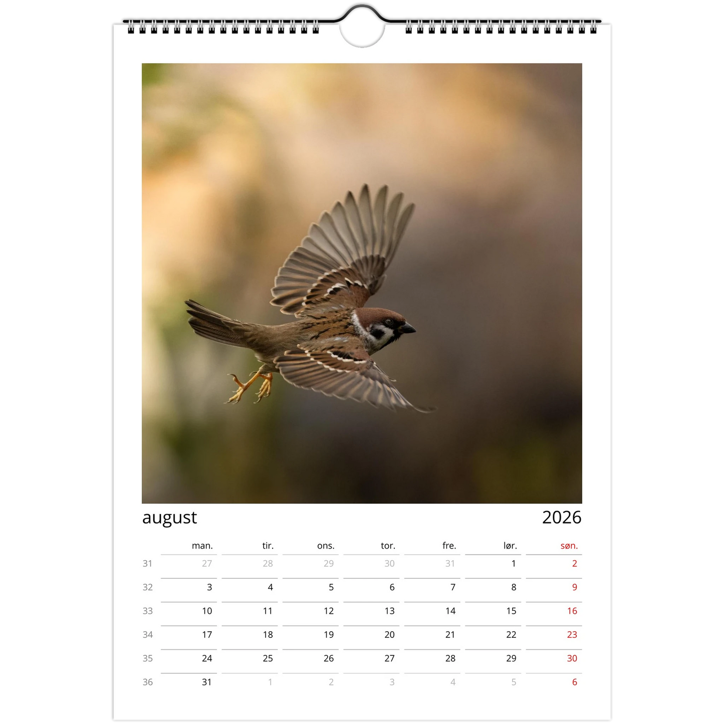 a29978c6-2db6-4c5d-bcdd-69ac2cbc52e3