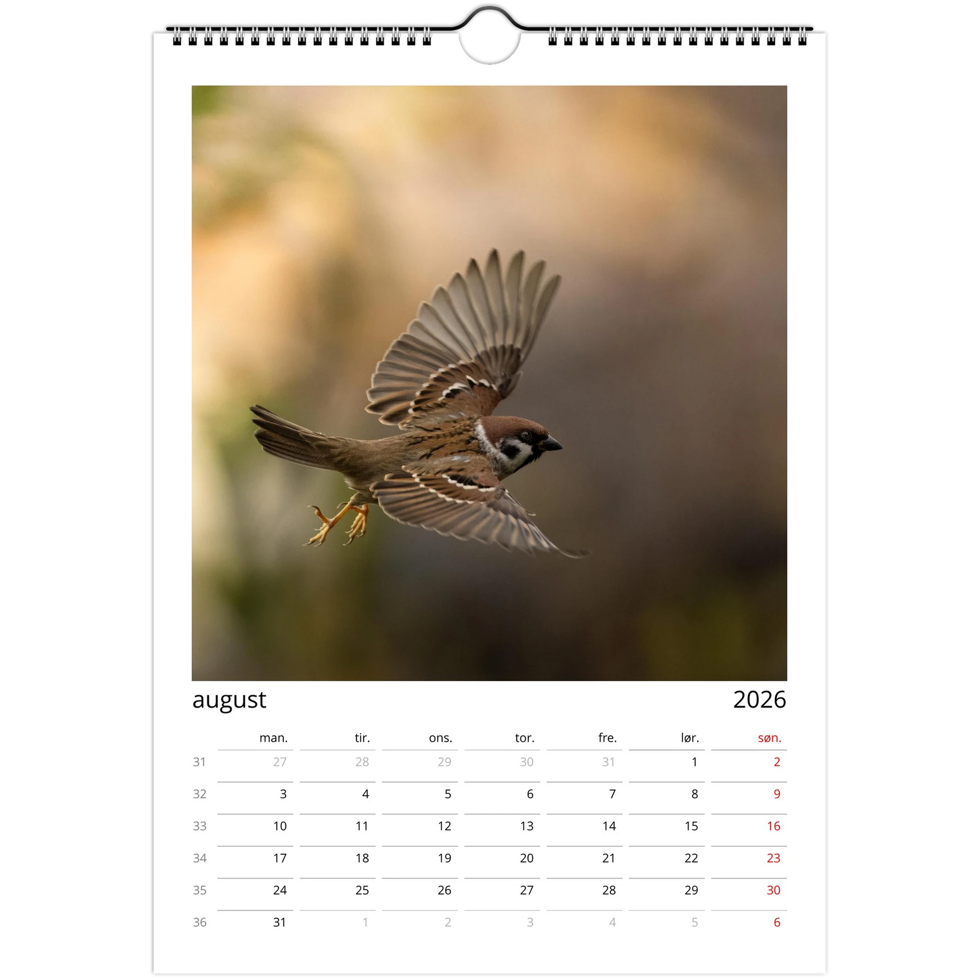 a29978c6-2db6-4c5d-bcdd-69ac2cbc52e3