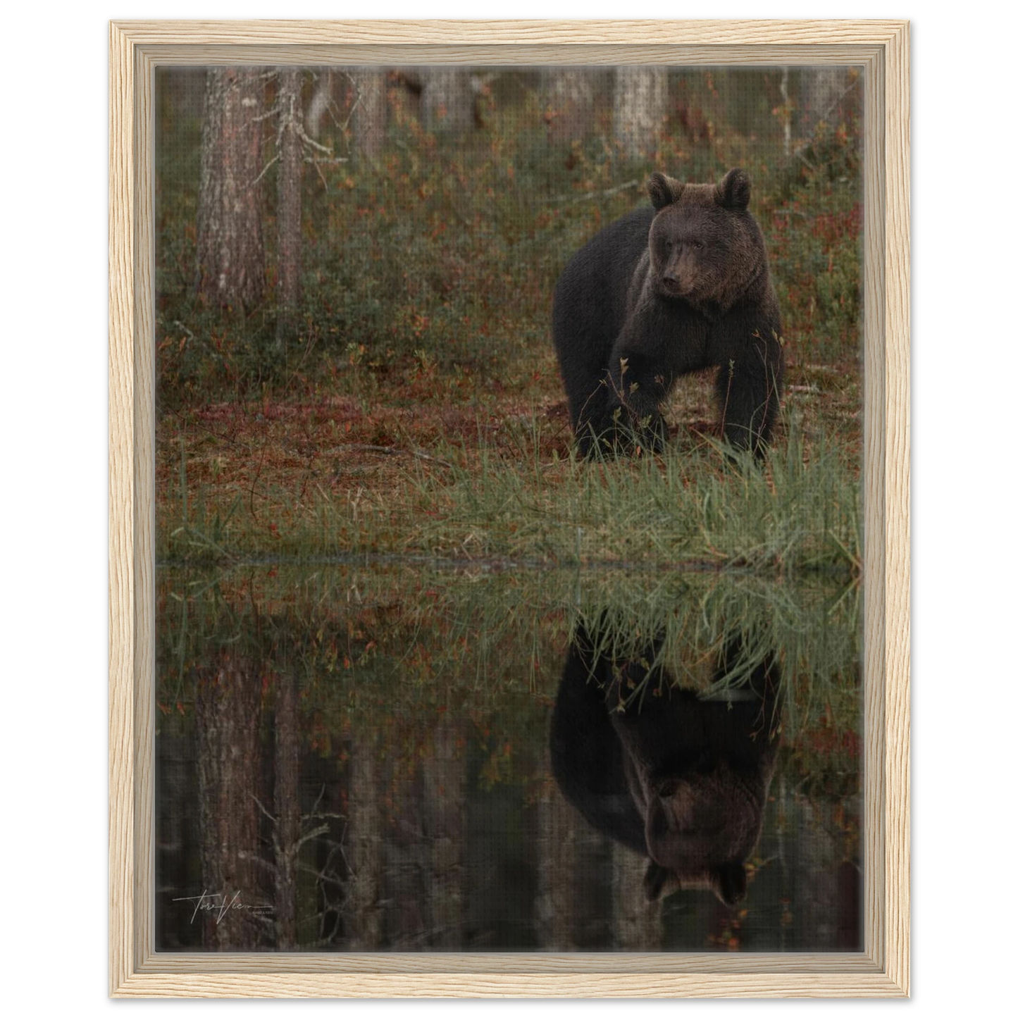 a345ebbd-07ac-4a5d-b03e-353932beaefd