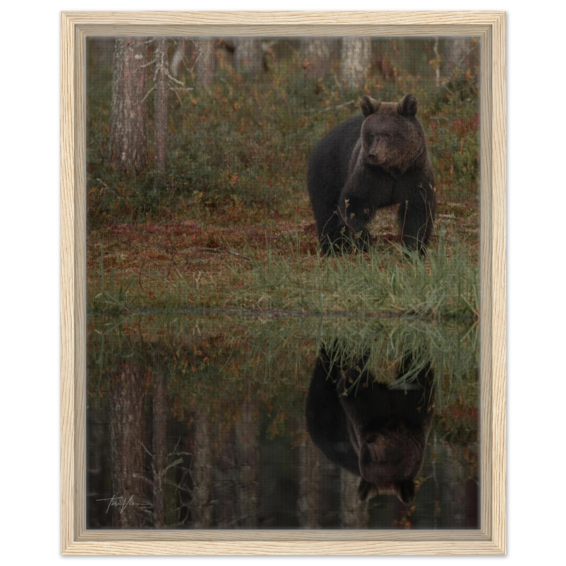 a345ebbd-07ac-4a5d-b03e-353932beaefd