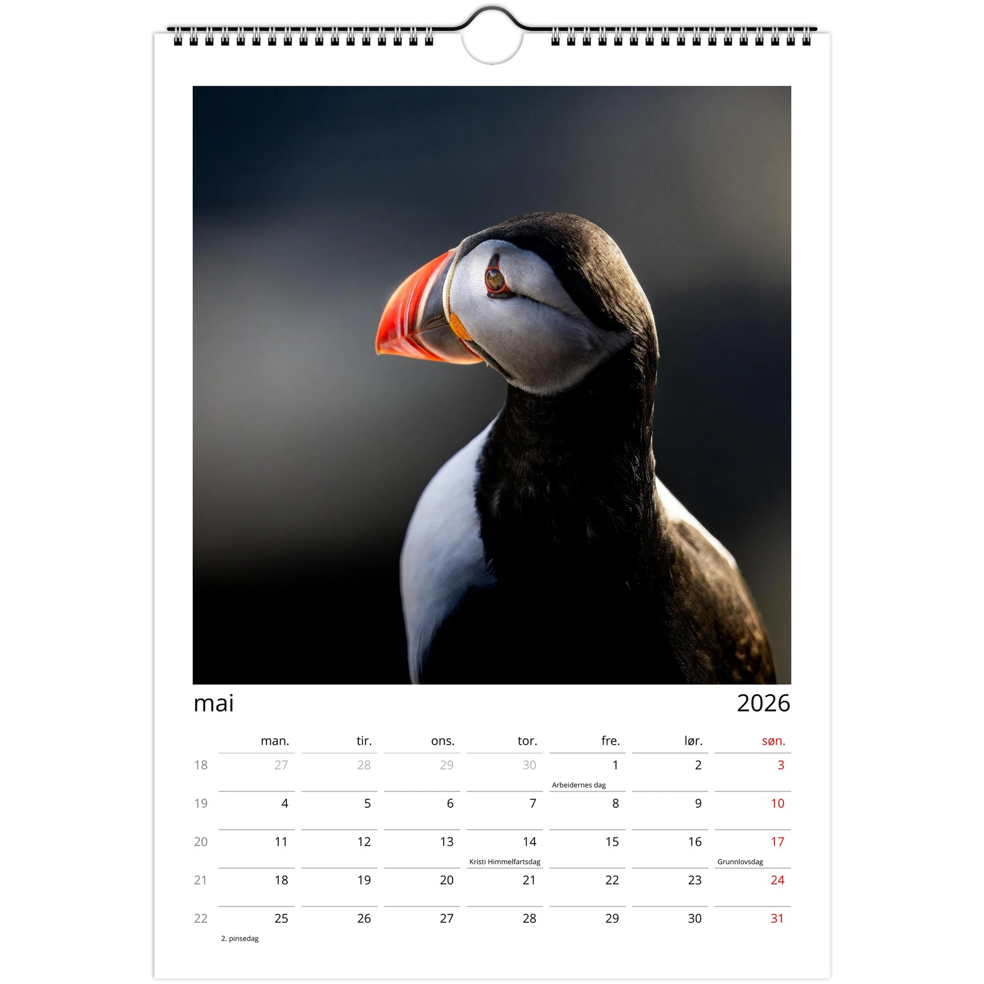 a3777903-5954-45c5-aa37-374a9ee81ac4