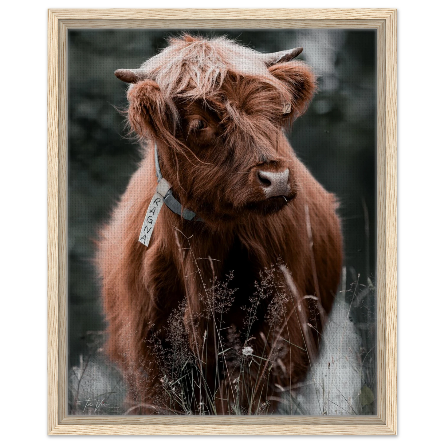 a3aac91d-7777-4ddf-92bb-9d2afbac8e87