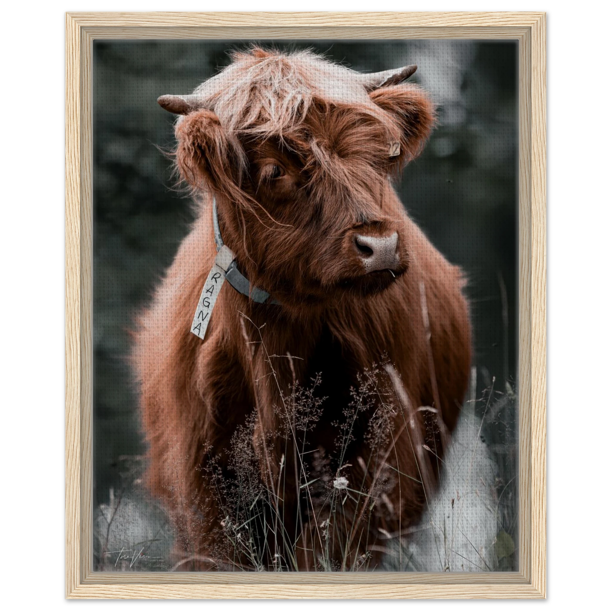 a3aac91d-7777-4ddf-92bb-9d2afbac8e87