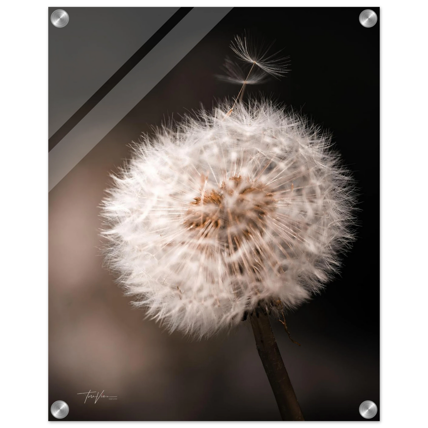 a450cf4b-488b-4e86-a1a7-5a9ac84499bd