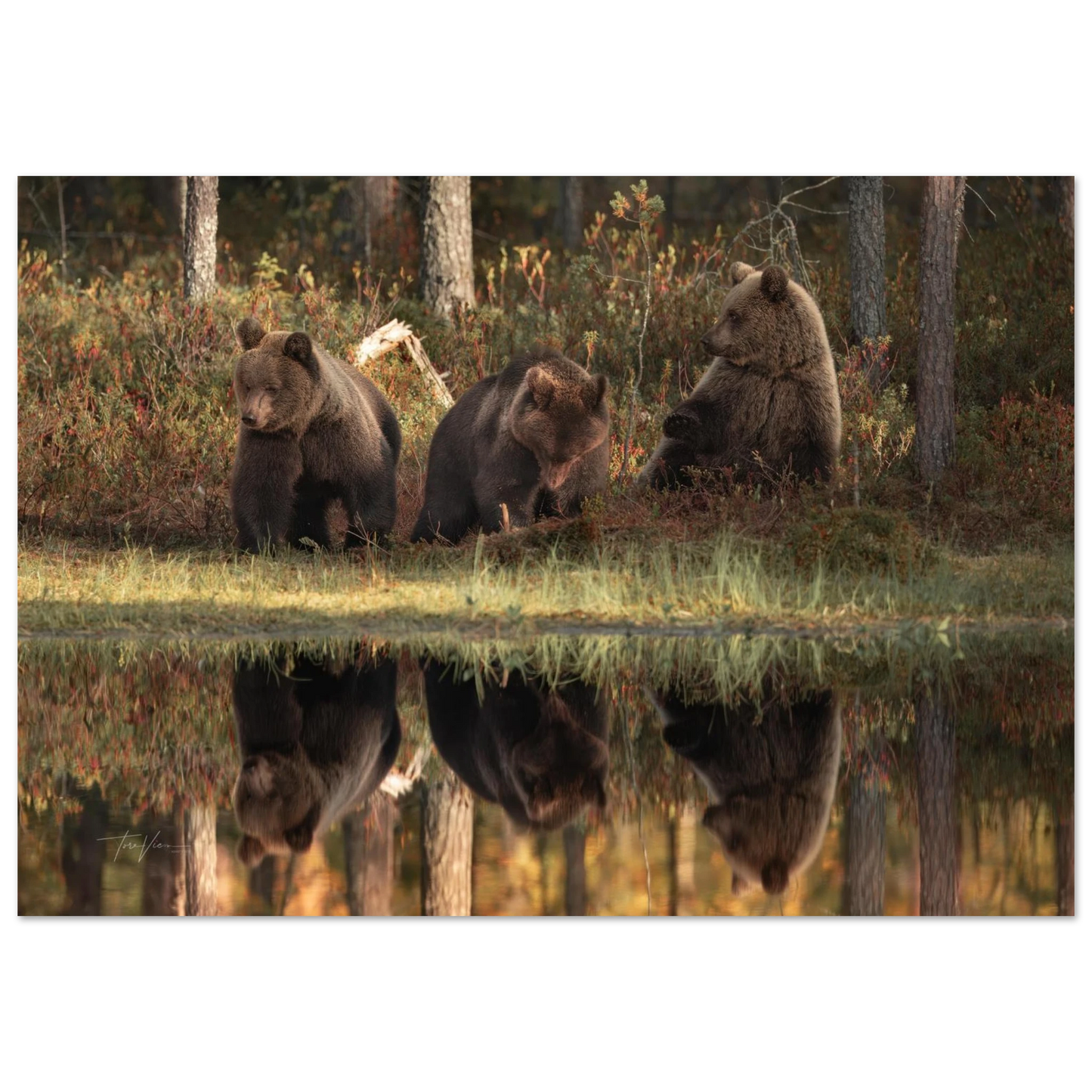 a48c6dd8-47b6-4b90-8e94-f9aadeae9060