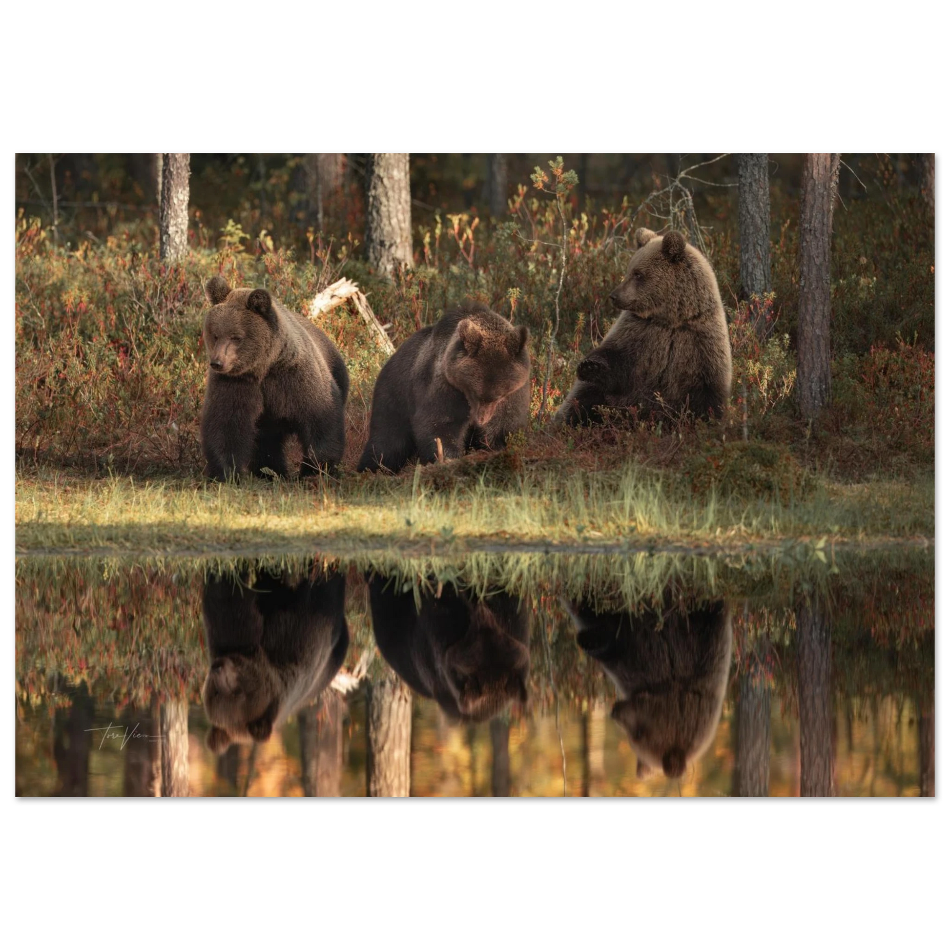 a48c6dd8-47b6-4b90-8e94-f9aadeae9060