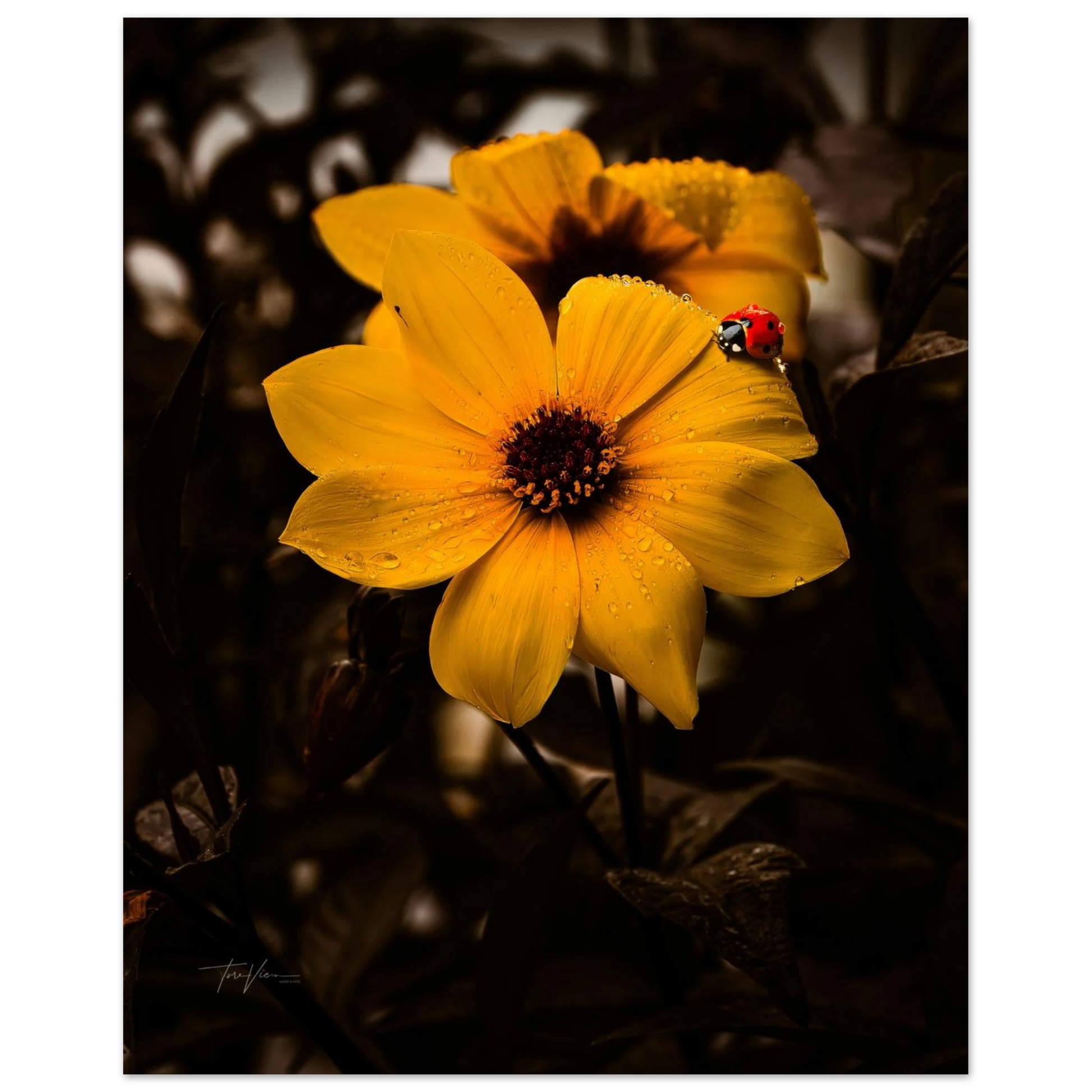 a59e907a-f3b5-48d0-be54-0ce155df905b