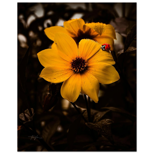 a59e907a-f3b5-48d0-be54-0ce155df905b