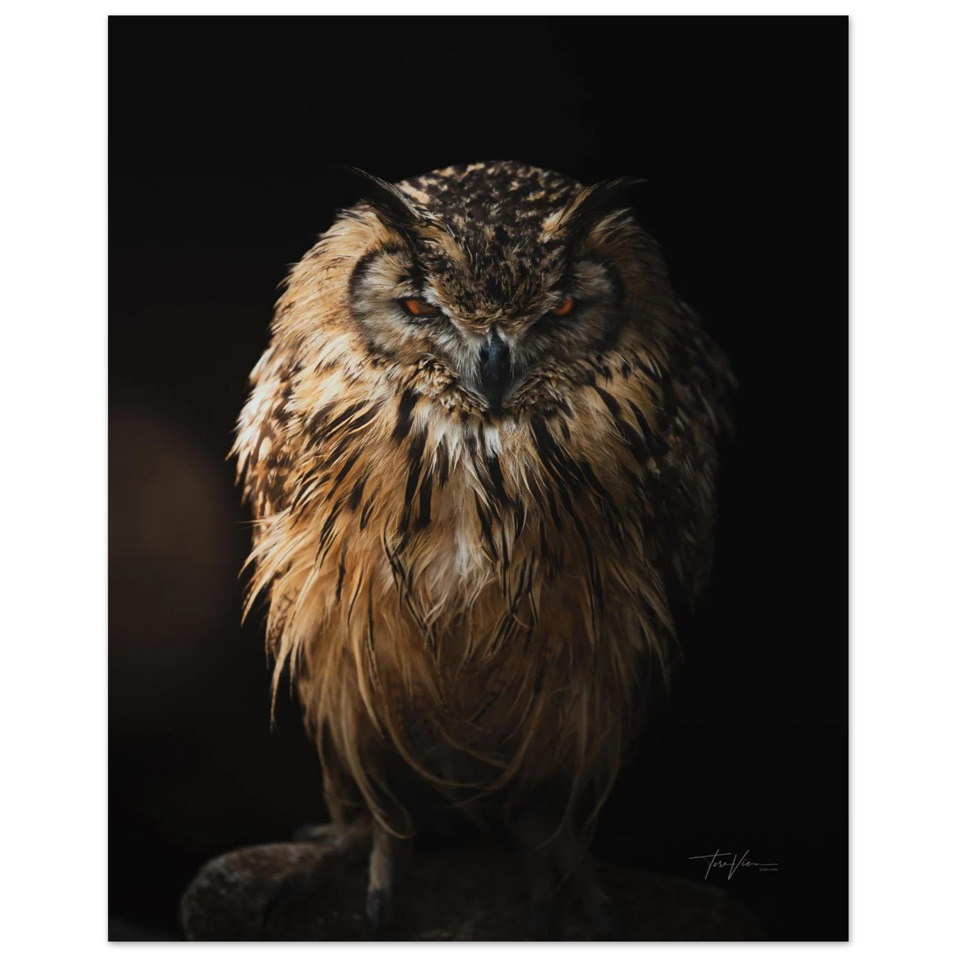 a63d1fd1-970f-4396-be93-d929e4b321de