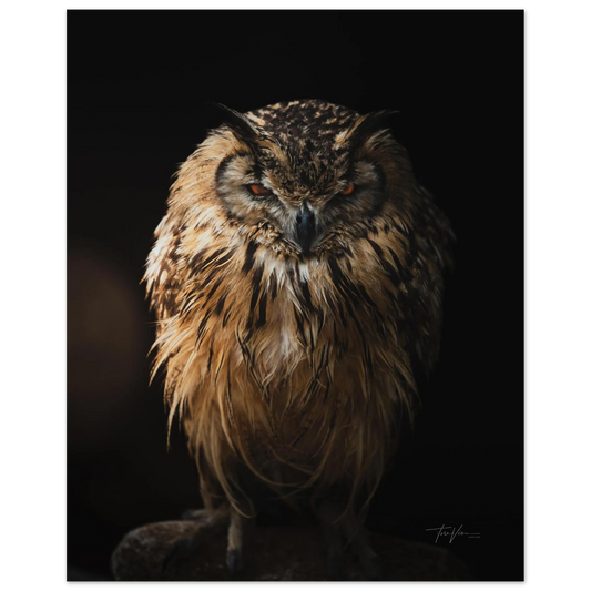 a63d1fd1-970f-4396-be93-d929e4b321de