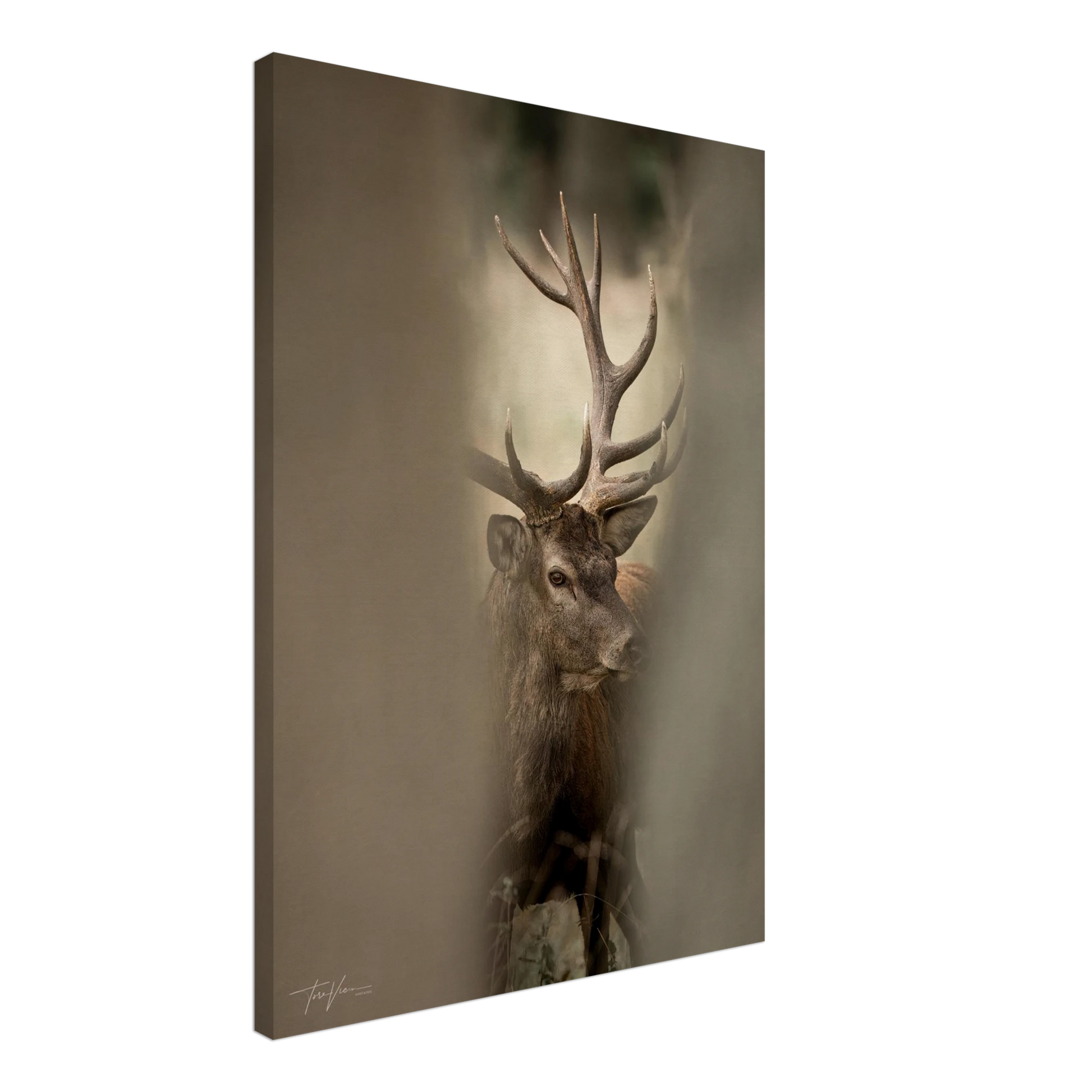 a68fd79b-3960-4f13-9087-c8da9ced39a1