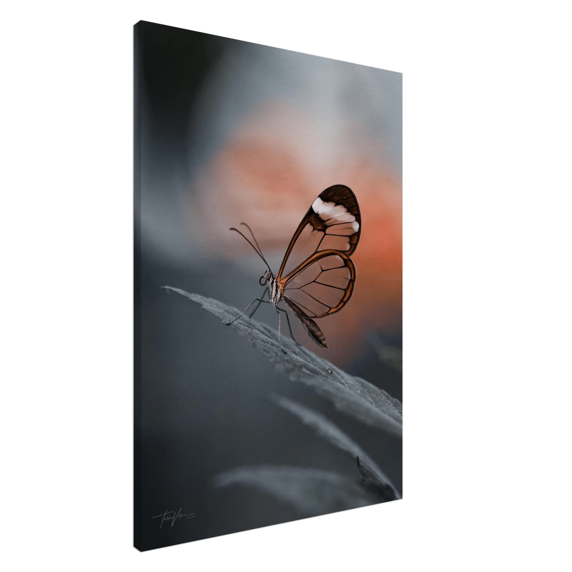 a72fc563-0c29-4549-b597-9c1a803a0959