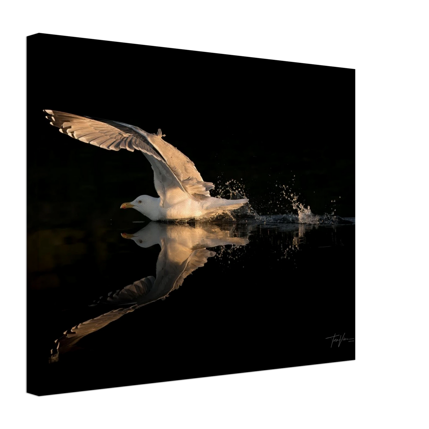 a77c4d25-4274-47cb-b5e3-6d4d083de284
