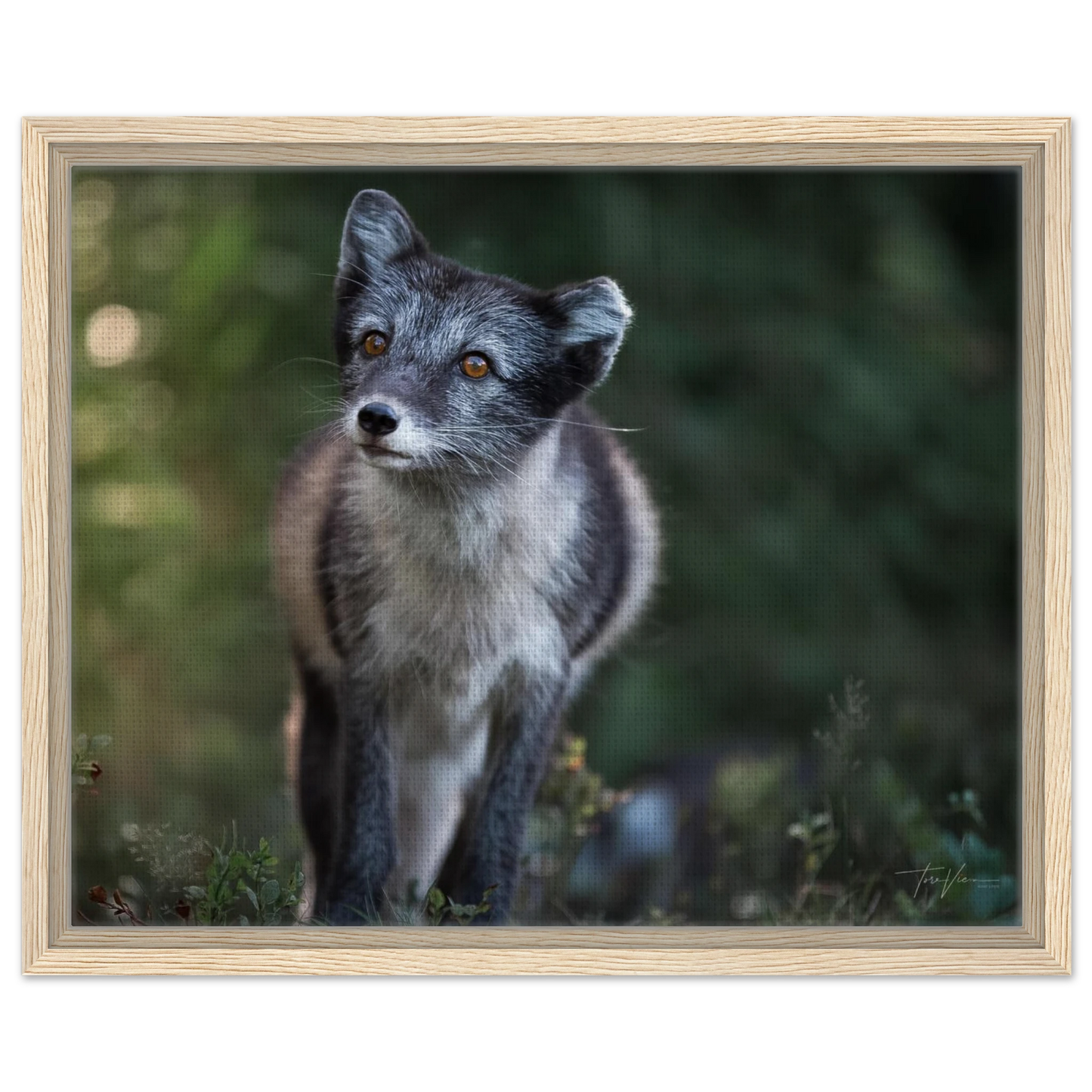 a80e3b9b-8128-4a4b-9499-87ea09daa0dc