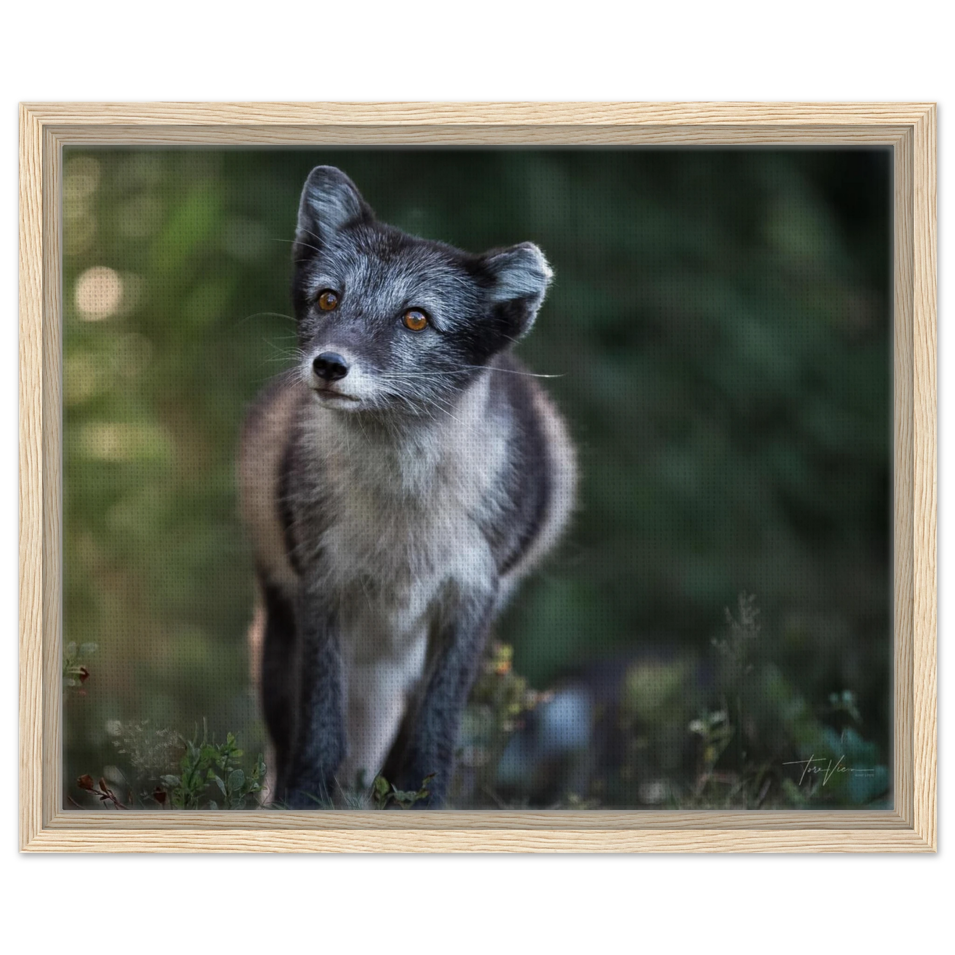 a80e3b9b-8128-4a4b-9499-87ea09daa0dc