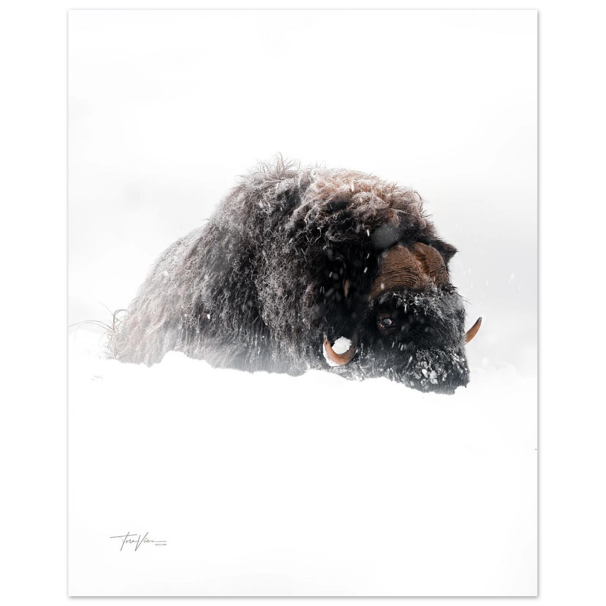 a85f869e-78ac-4568-a80d-773acb1c7da2