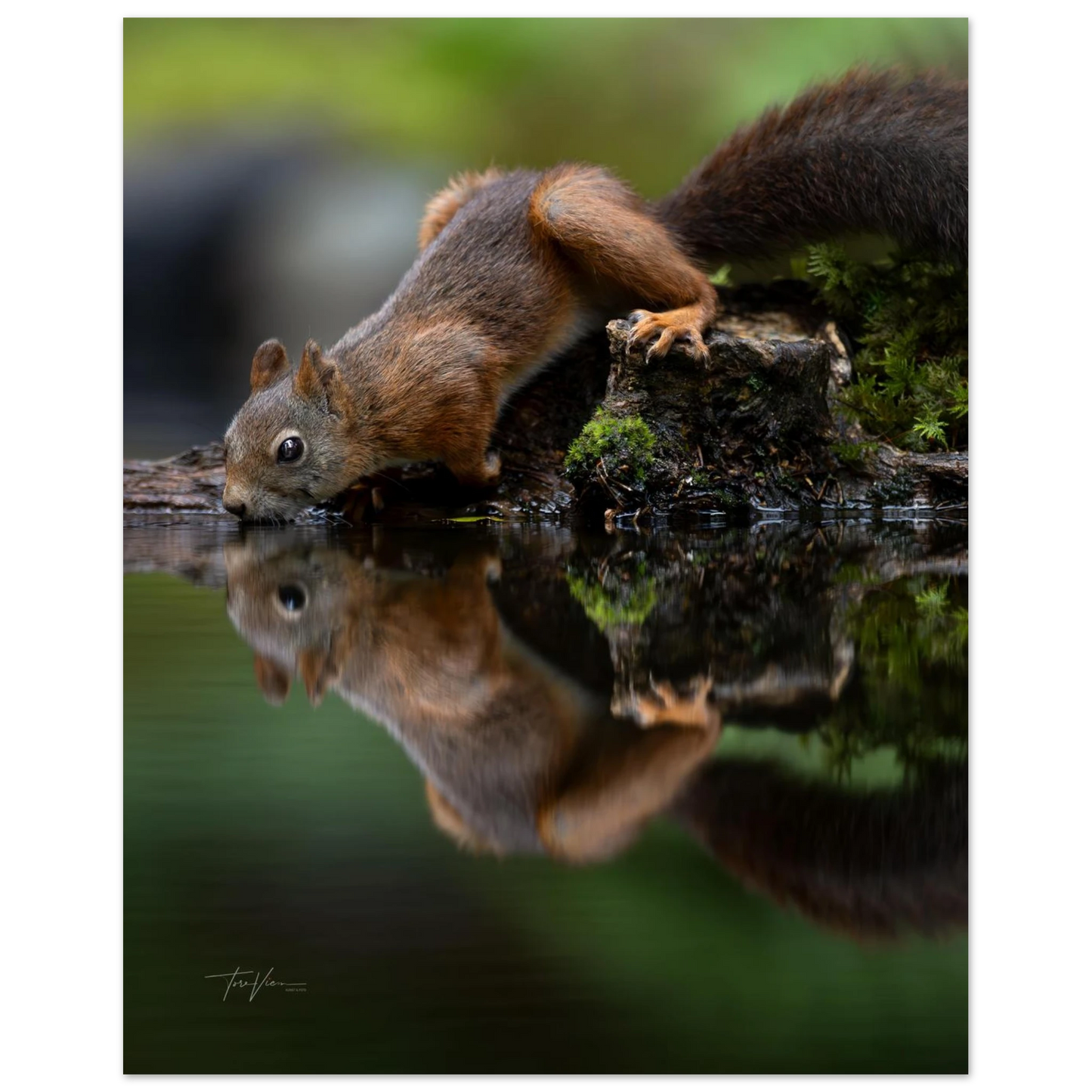 a86f789c-8898-41cc-a1ce-3e45acf527bc