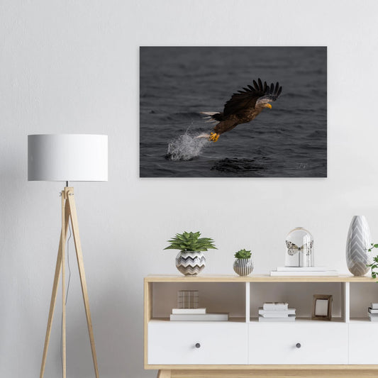 a8b113b6-05e4-4b8b-b656-551f5cffd3fa