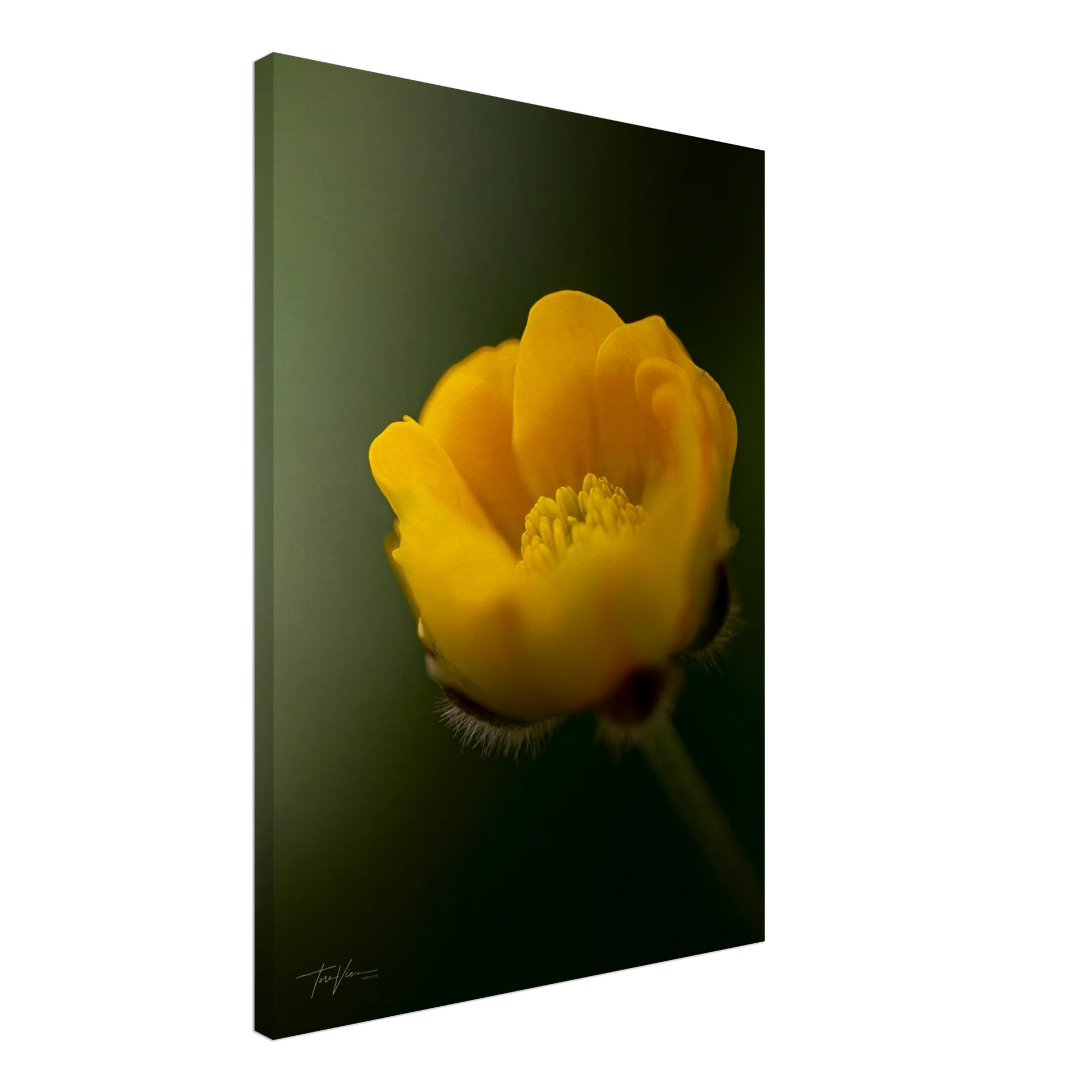 a8bc64a4-c120-4d67-bb57-66b5efdd2304