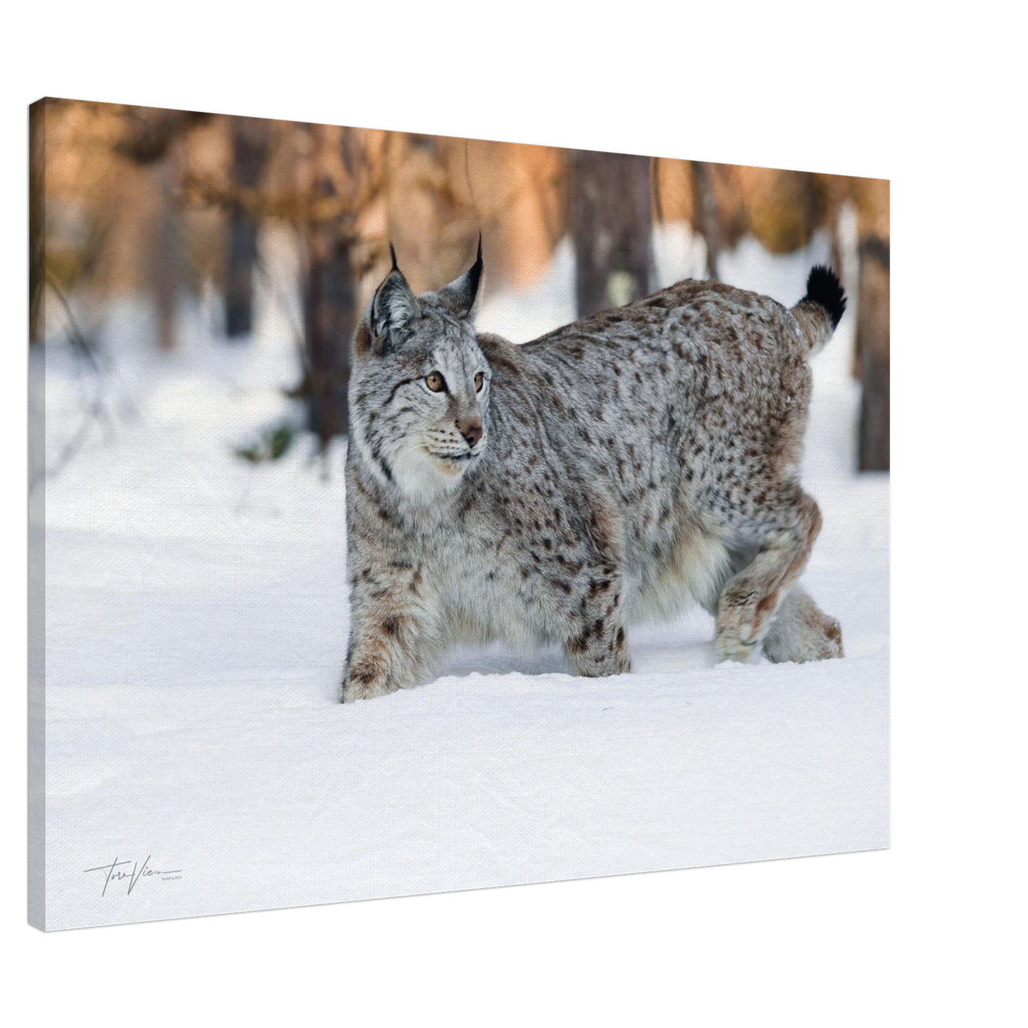 a9a5b4eb-35d6-491a-ab6f-0f3448388b8f