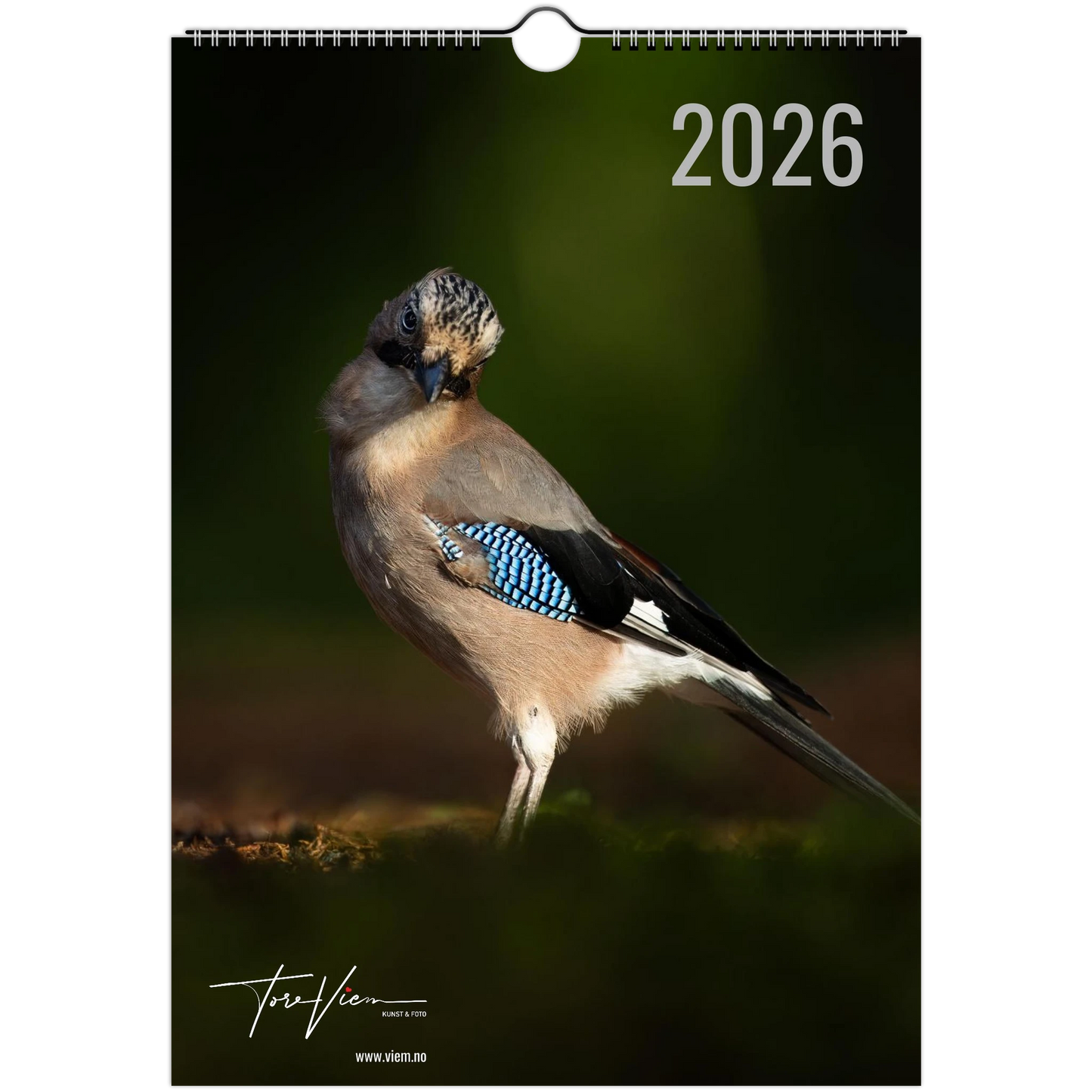 aaefc253-c762-490b-89b7-d0ee9ea516de