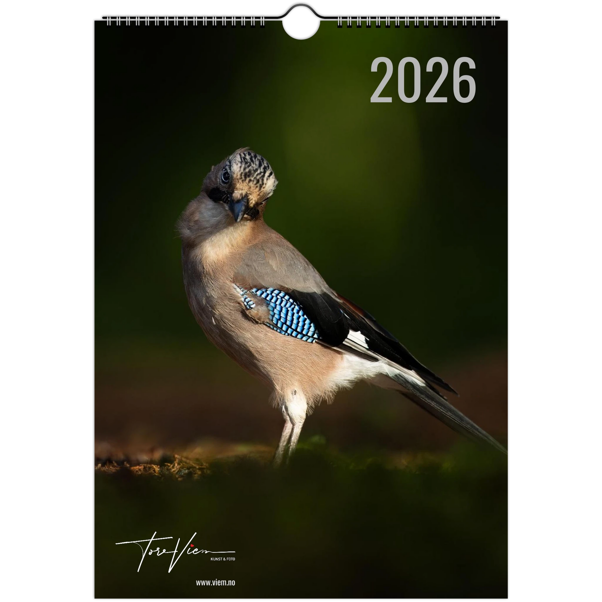 aaefc253-c762-490b-89b7-d0ee9ea516de