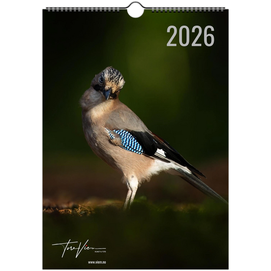 aaefc253-c762-490b-89b7-d0ee9ea516de