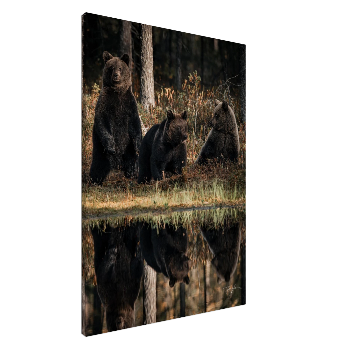 ab0850ac-70f4-4add-aafd-1ba2e3273639