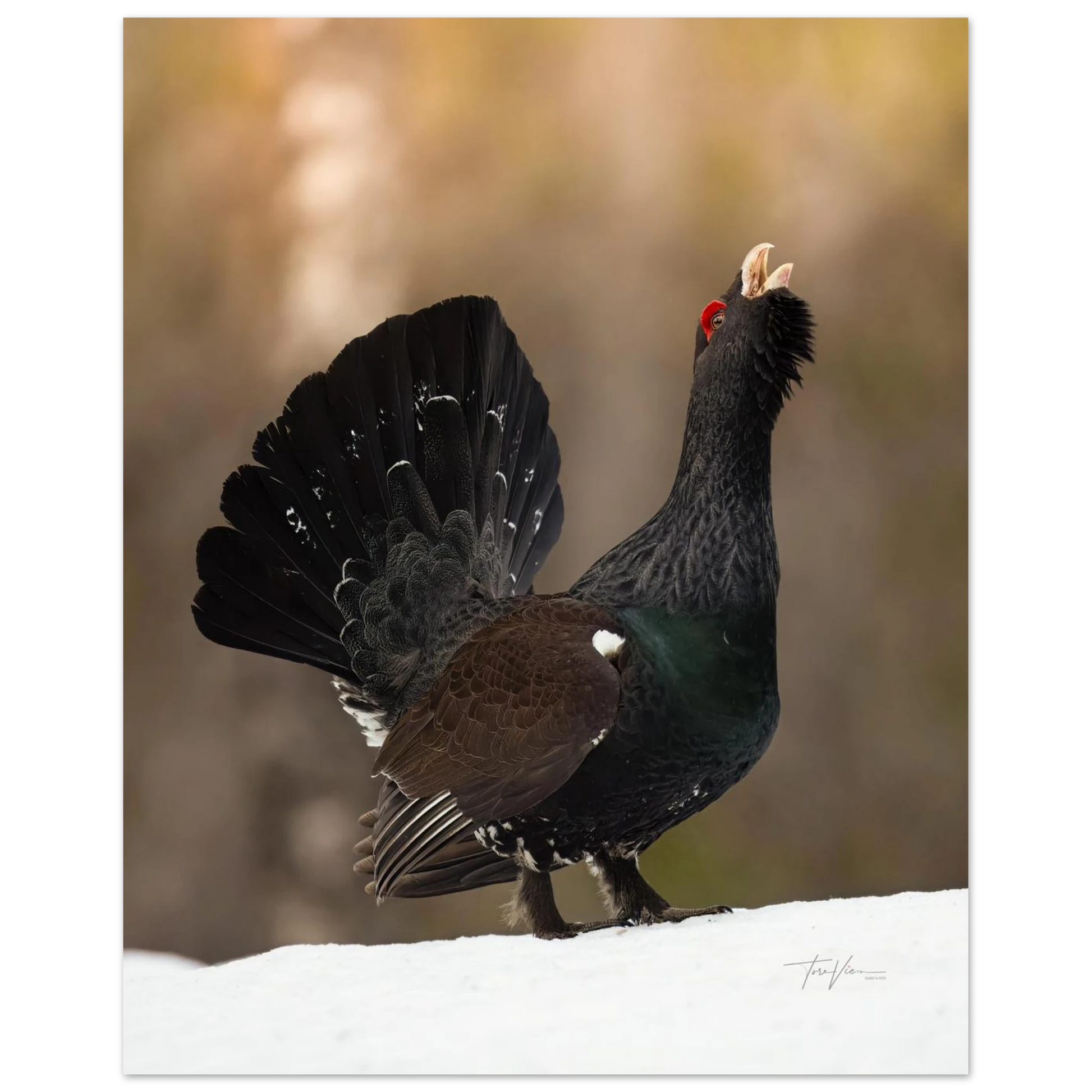 ab5626c1-0403-4d36-b85f-fac6af808b6b