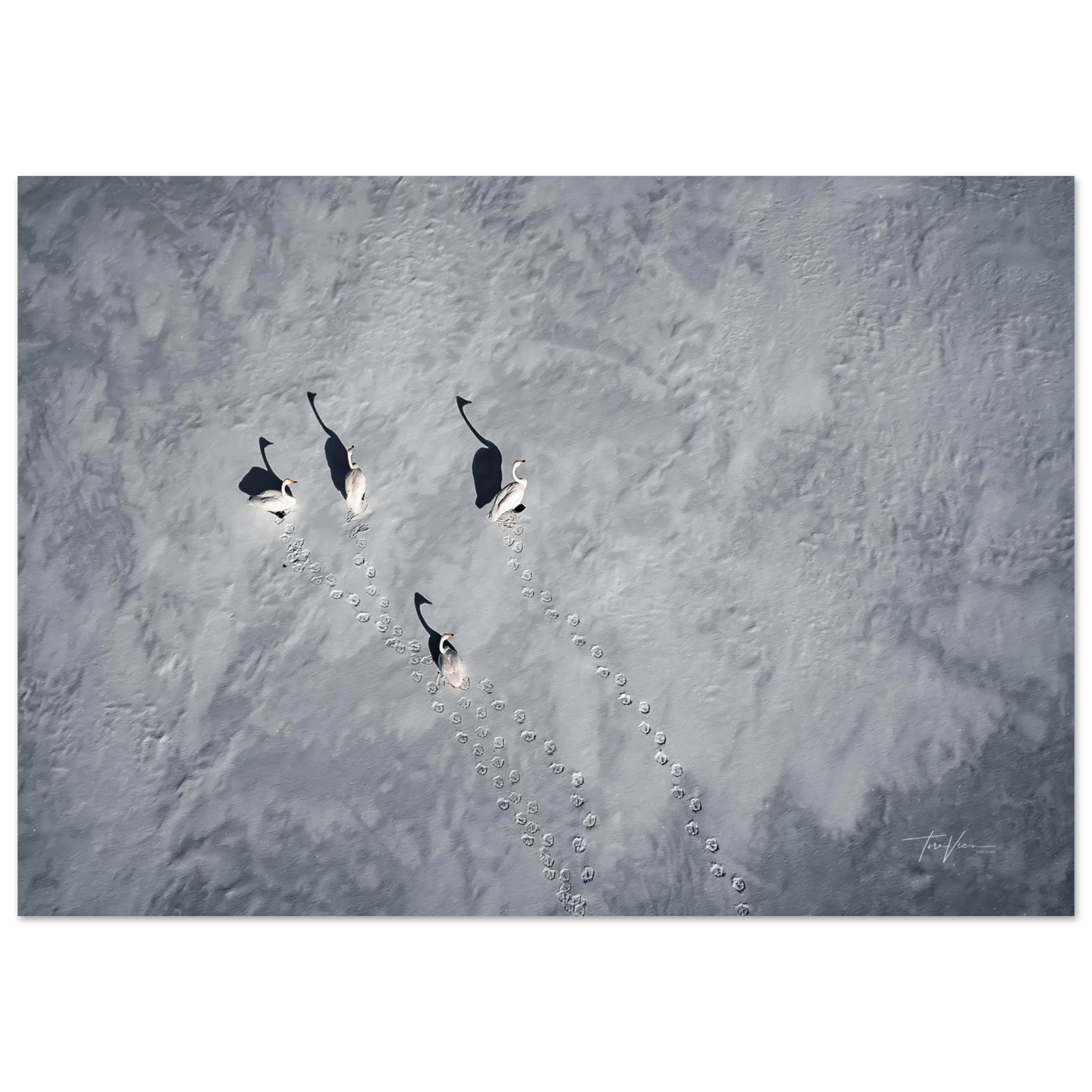 ac825ff4-4d3d-4dc5-b6c9-0cec8a00331d