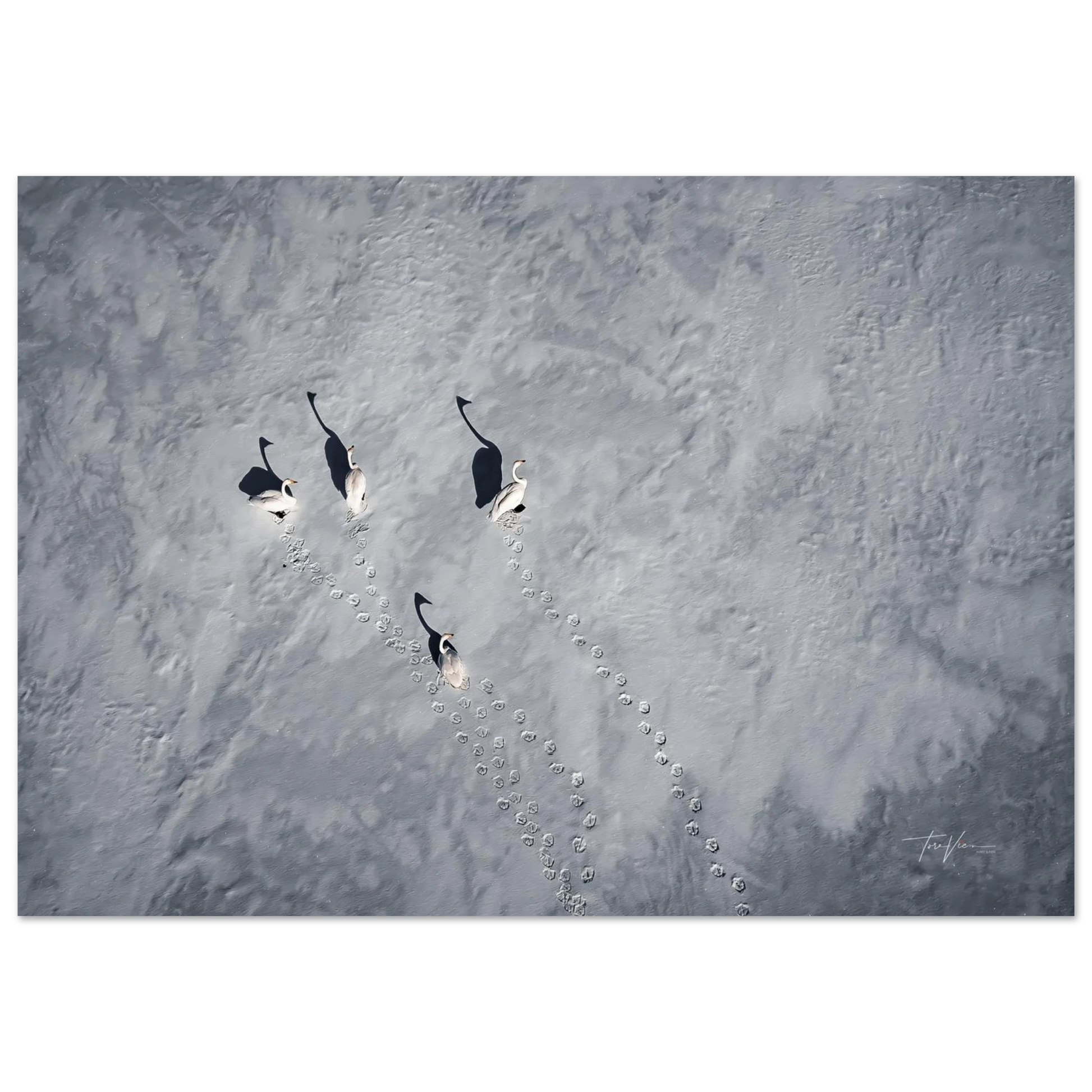 ac825ff4-4d3d-4dc5-b6c9-0cec8a00331d