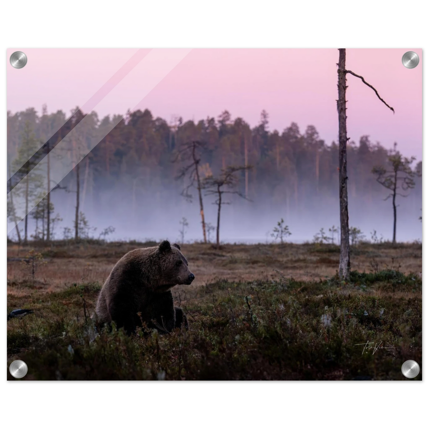 ac885e37-51fa-41d8-beab-7510257467b5