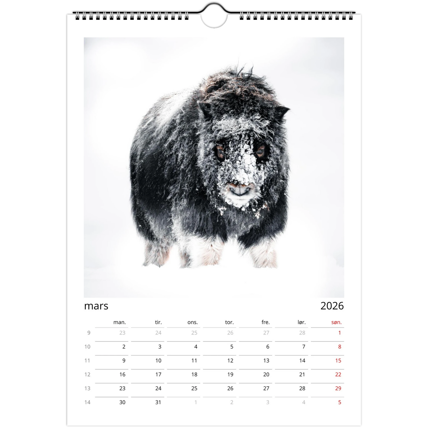 ad4c165c-f94a-4e86-9def-d98db2cca636