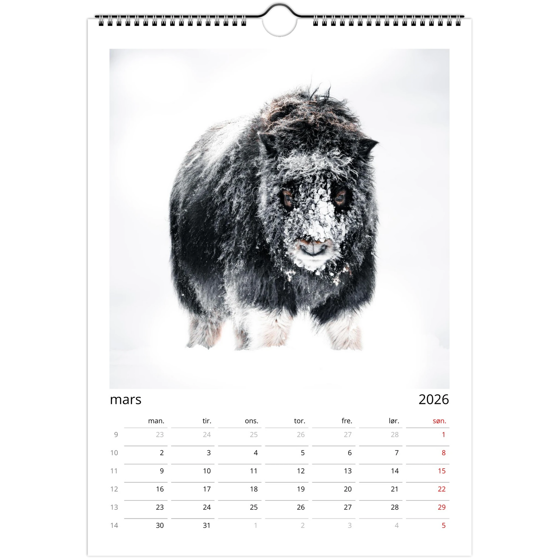 ad4c165c-f94a-4e86-9def-d98db2cca636