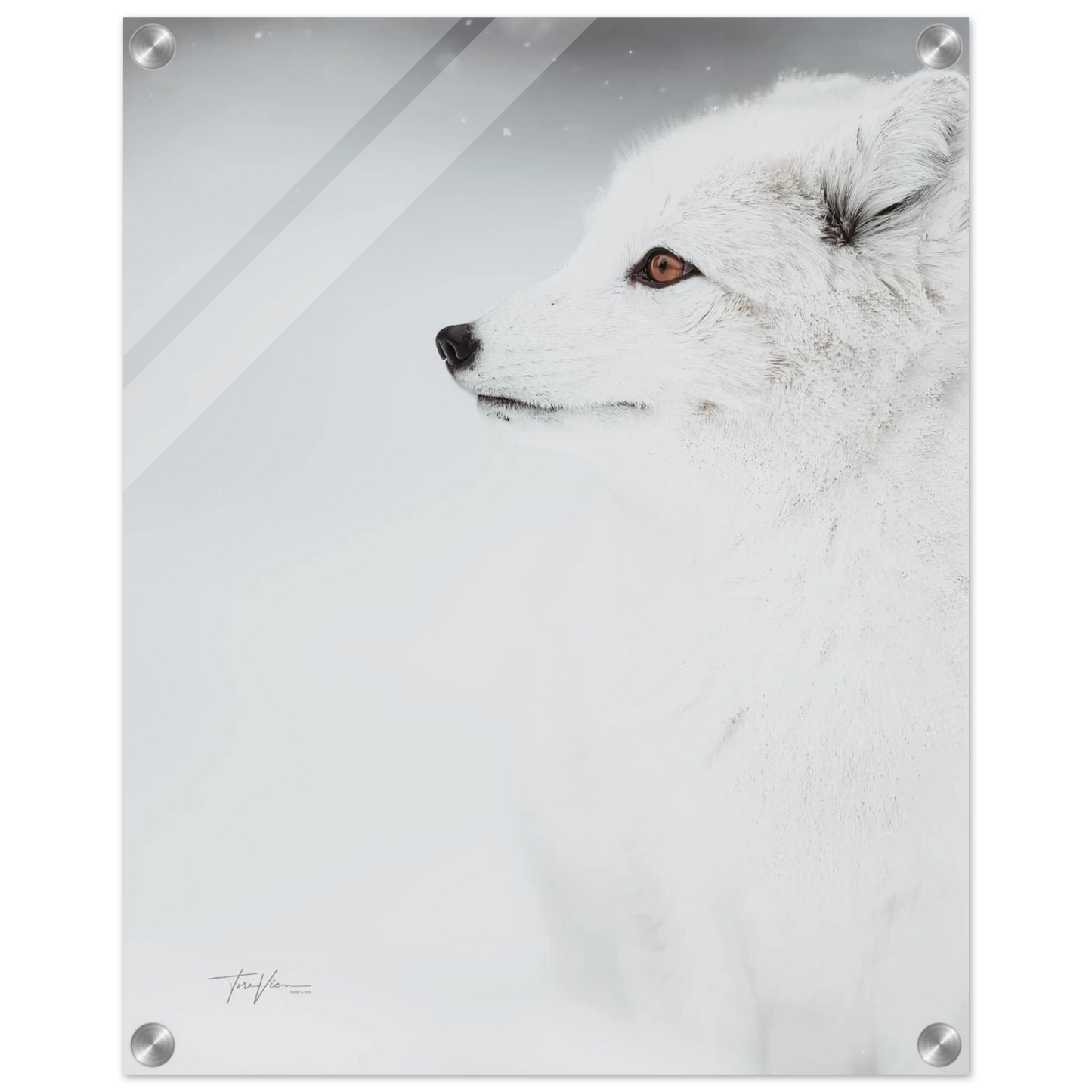 ae929046-0888-4673-9716-34d8e07e5d90