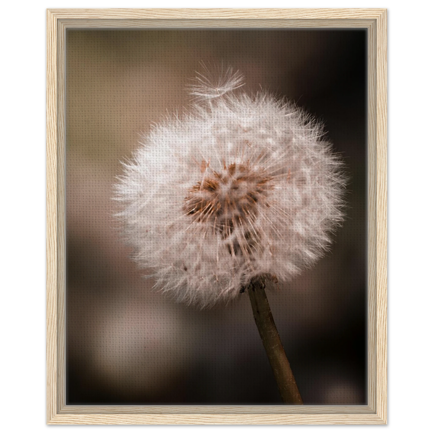 b1604c3d-1657-4b22-8047-374187672bcb