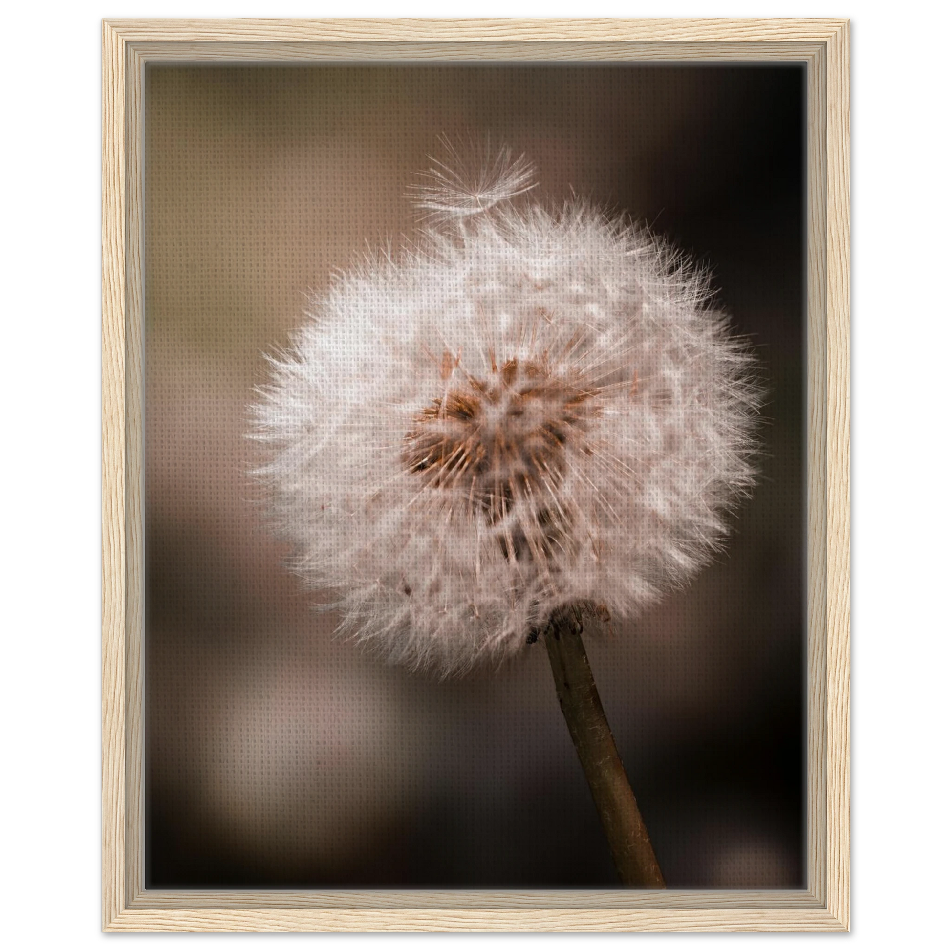 b1604c3d-1657-4b22-8047-374187672bcb