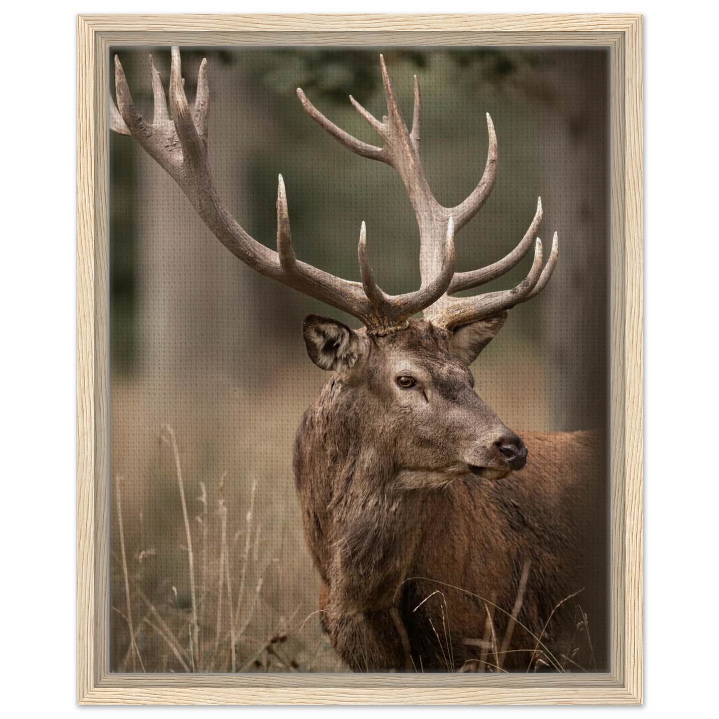 b33768c7-5821-4a28-b318-be07e94d9b68