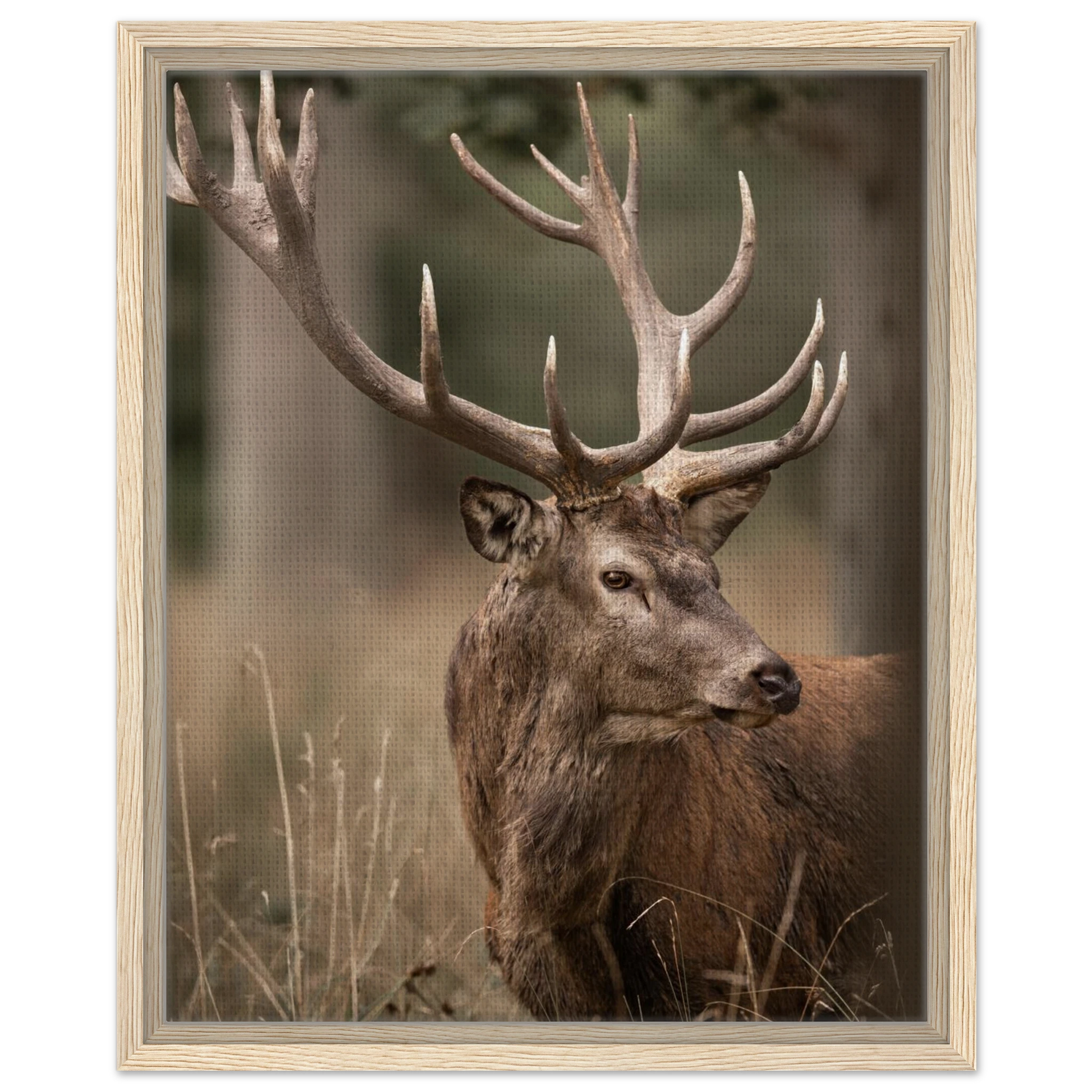 b33768c7-5821-4a28-b318-be07e94d9b68