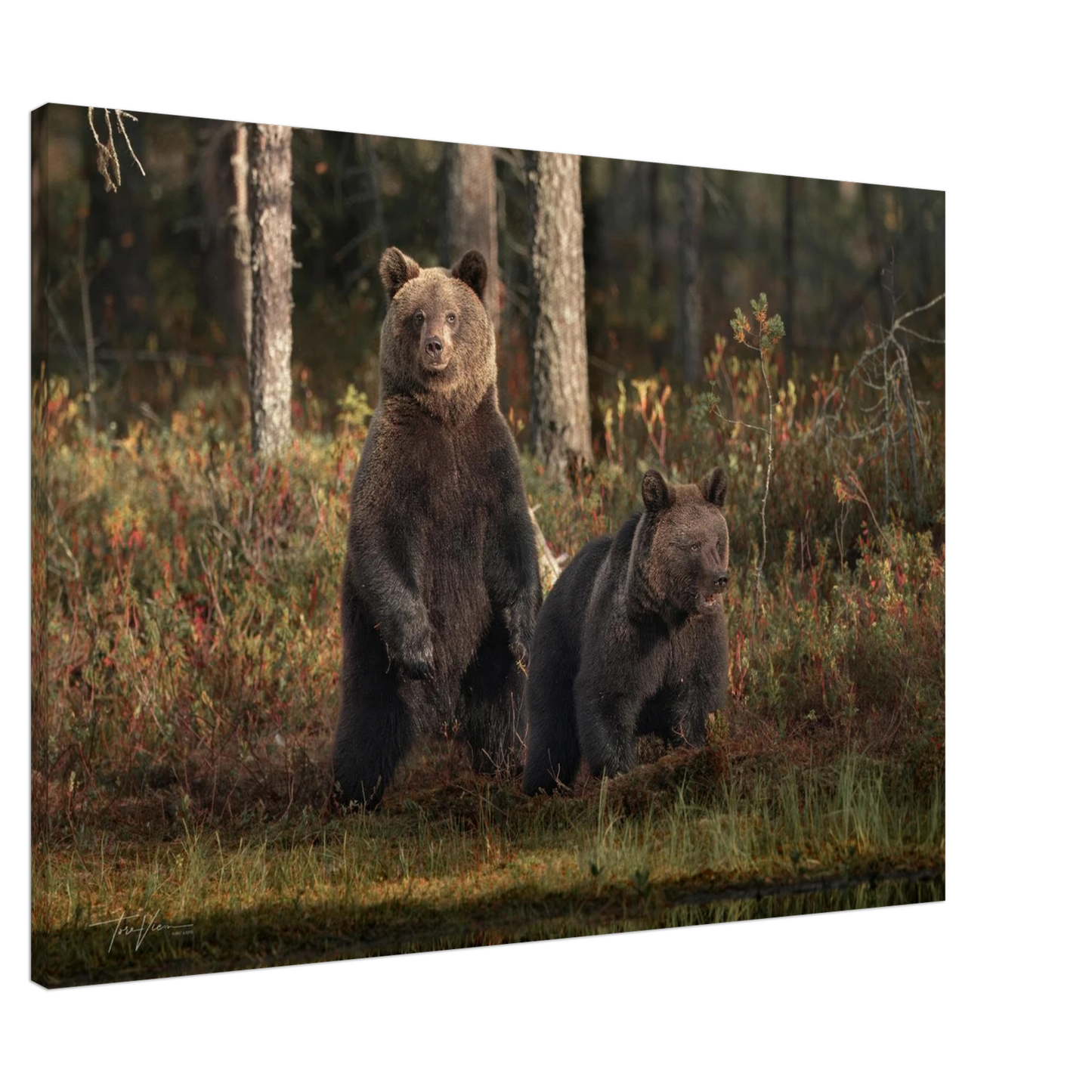 b3b9724e-0fcb-4a47-b39a-9db4f9354c75